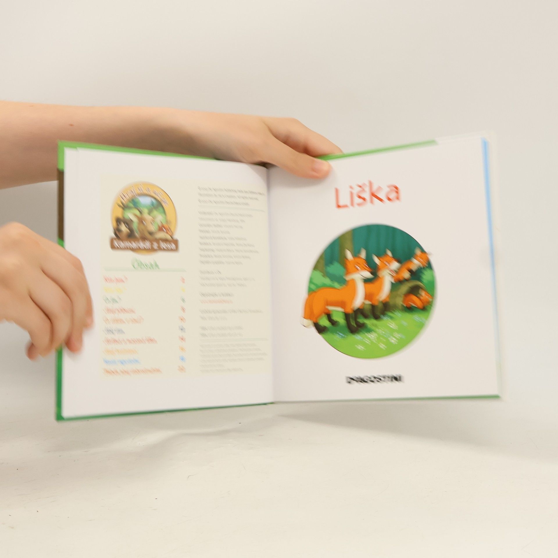 Autores varios Bydlím v lese 10. Liška