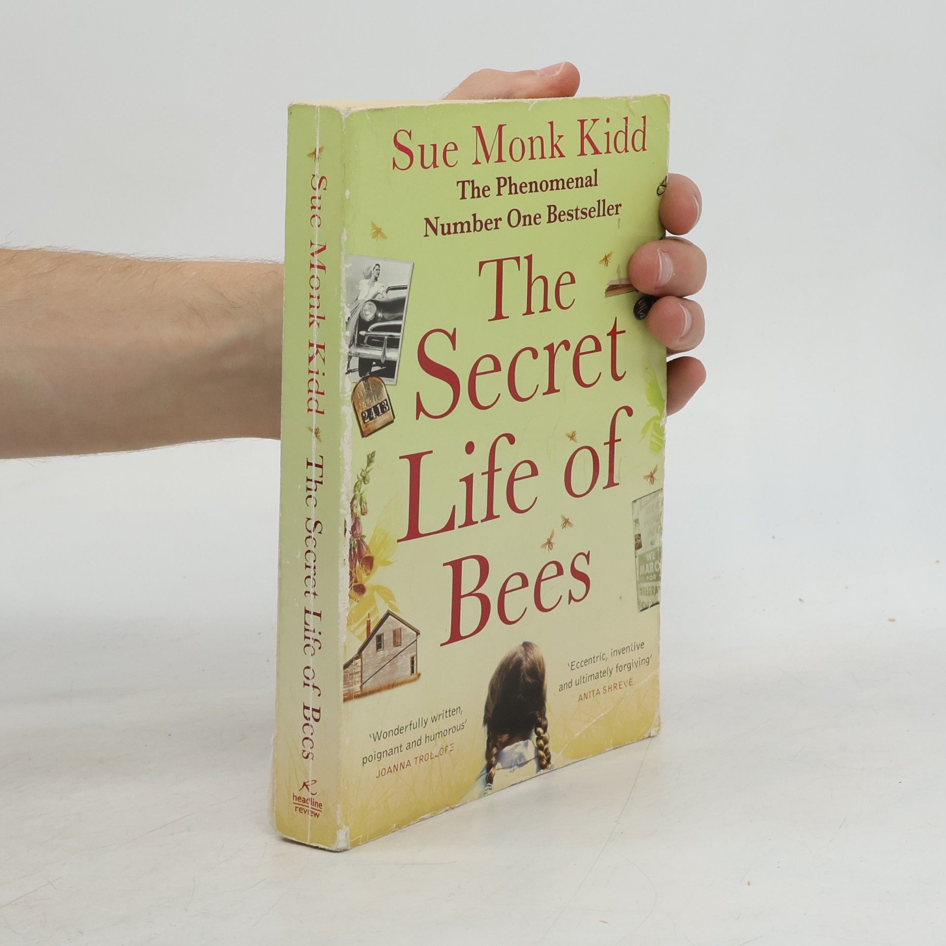 Sue Monk Kidd The secret life of bees