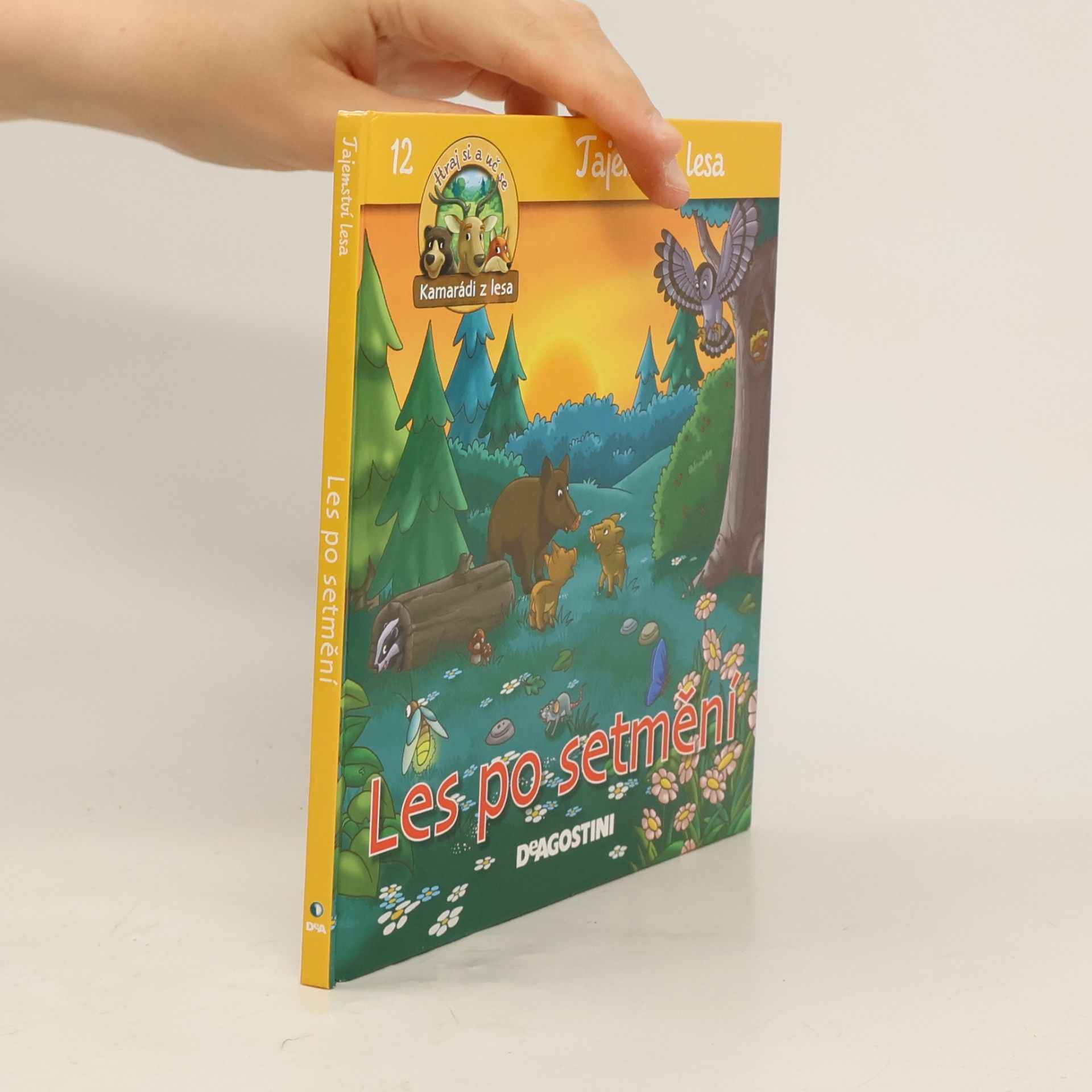 Autorenkollektiv Tajemství lesa 12. Les po setmění