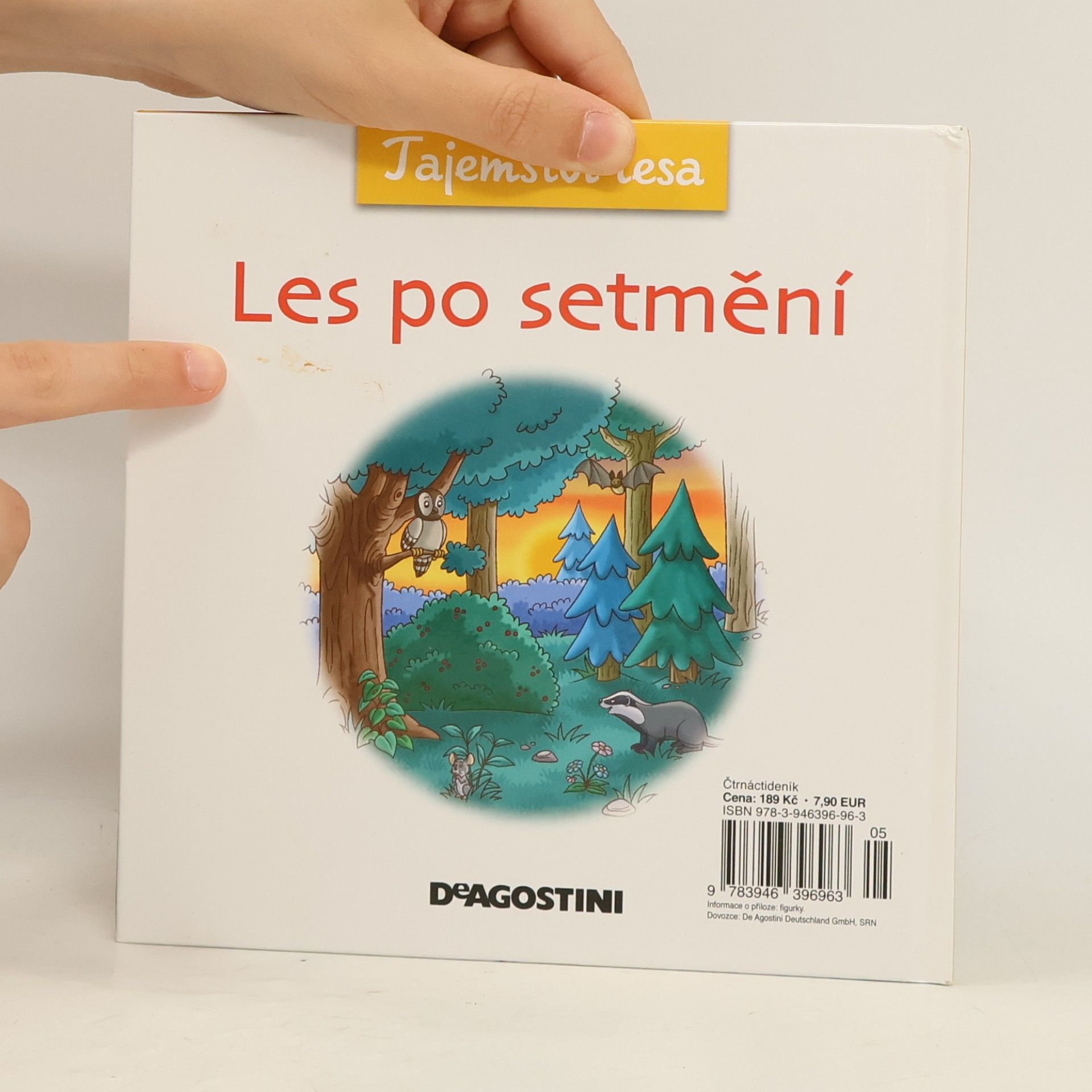 Autorenkollektiv Tajemství lesa 12. Les po setmění