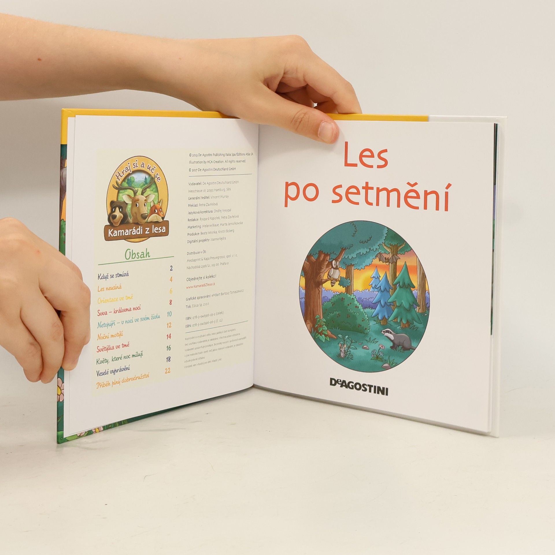 Autorenkollektiv Tajemství lesa 12. Les po setmění