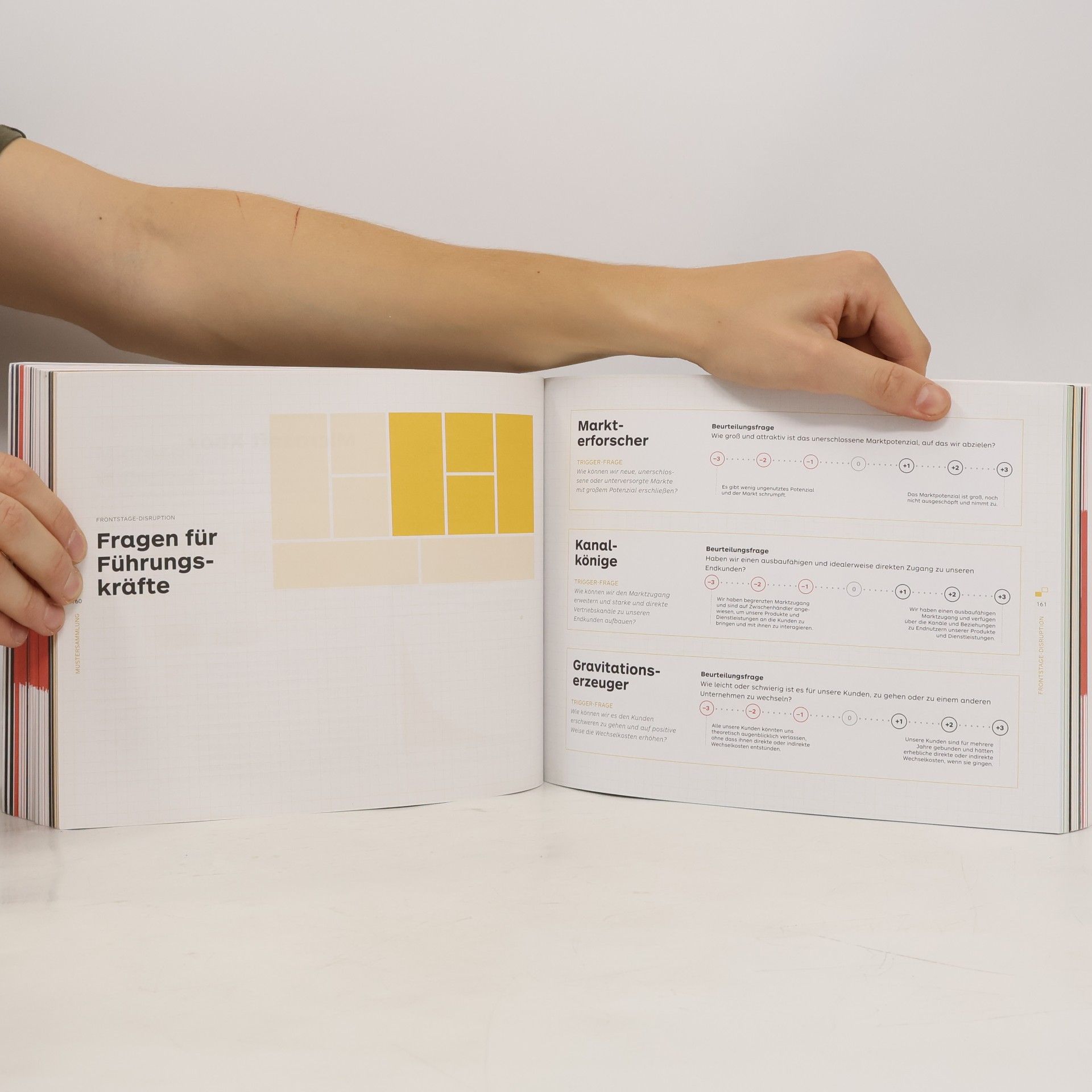 Alexander Osterwalder The Invincible Company