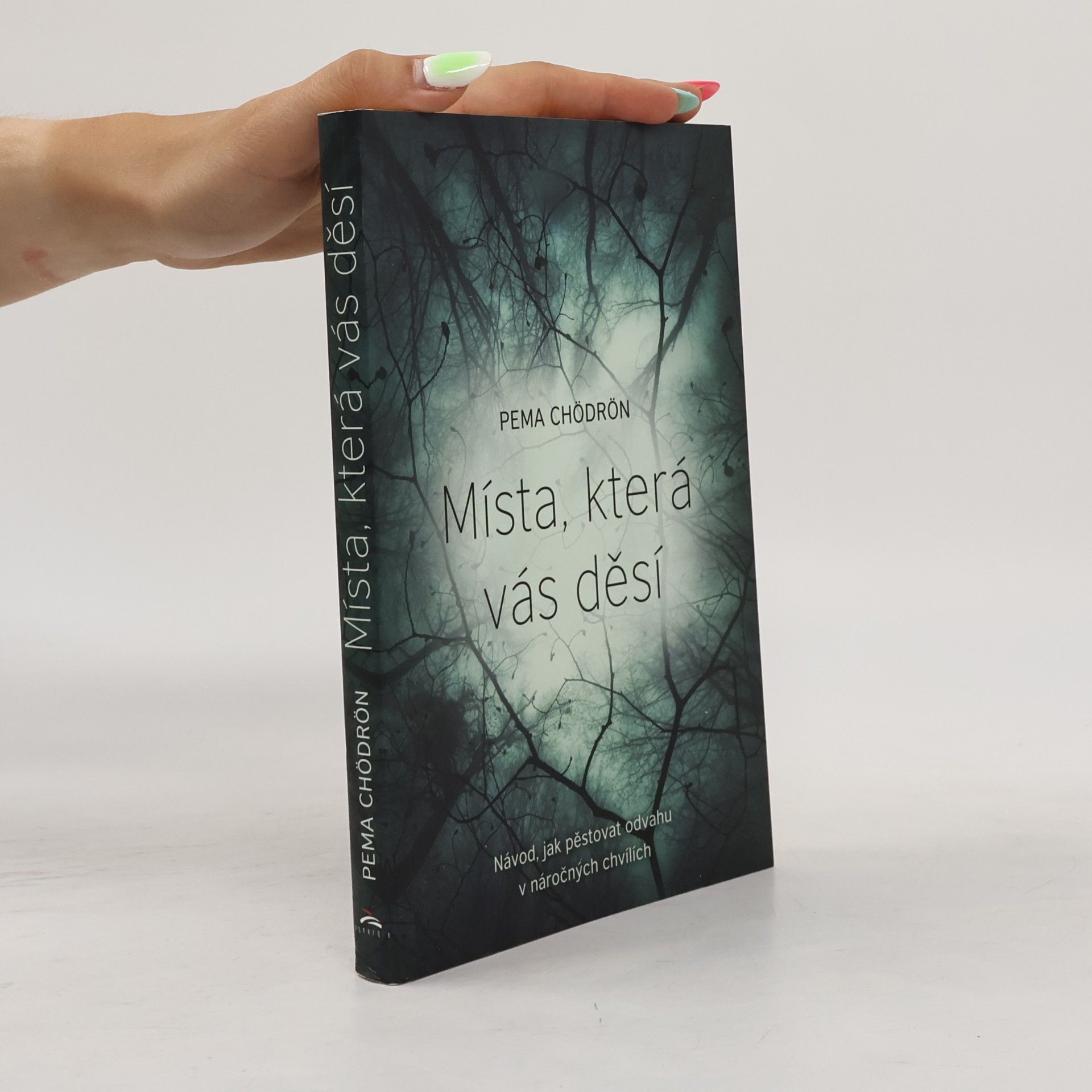 Pema Chödrön Místa, která vás děsí