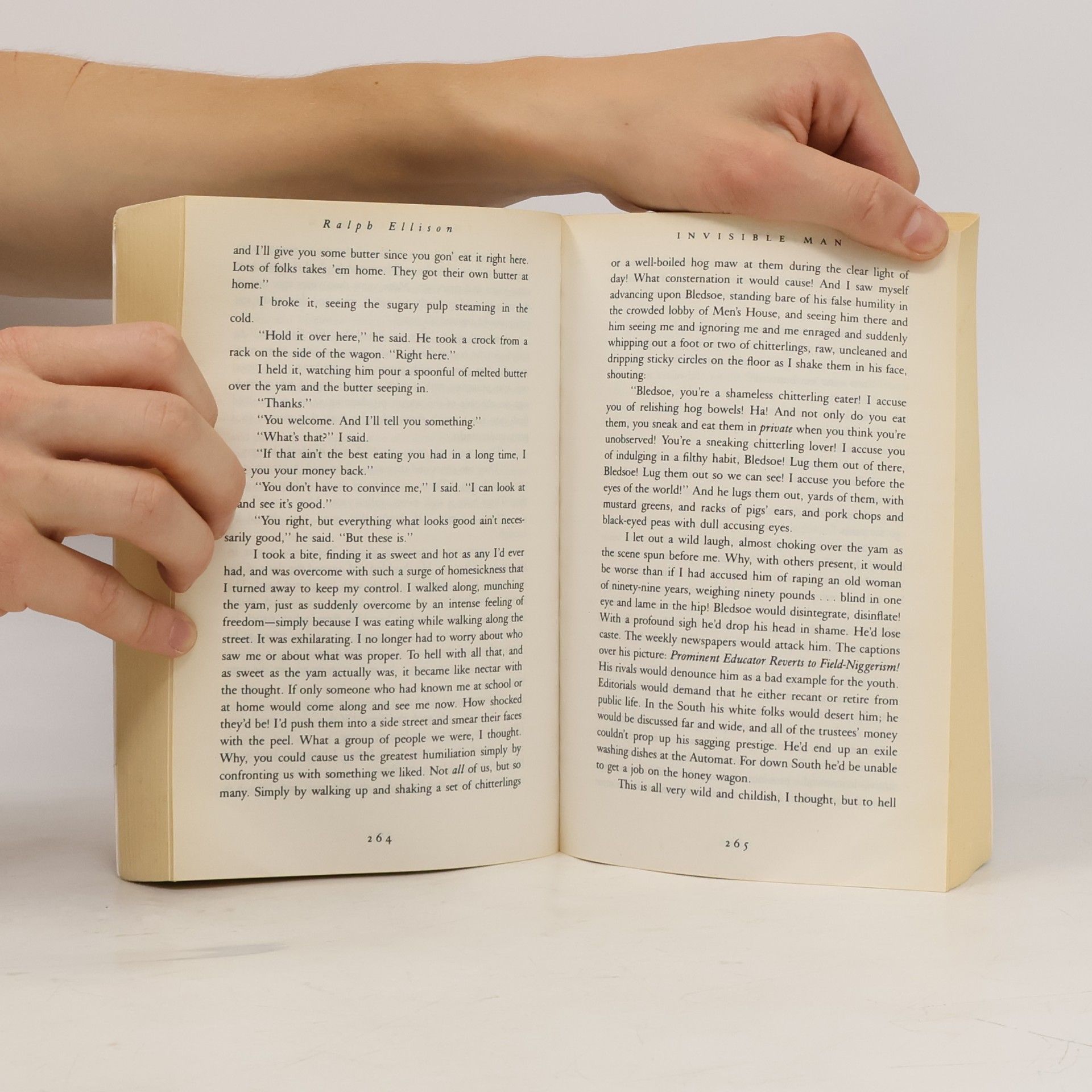 Ralph Ellison Invisible Man