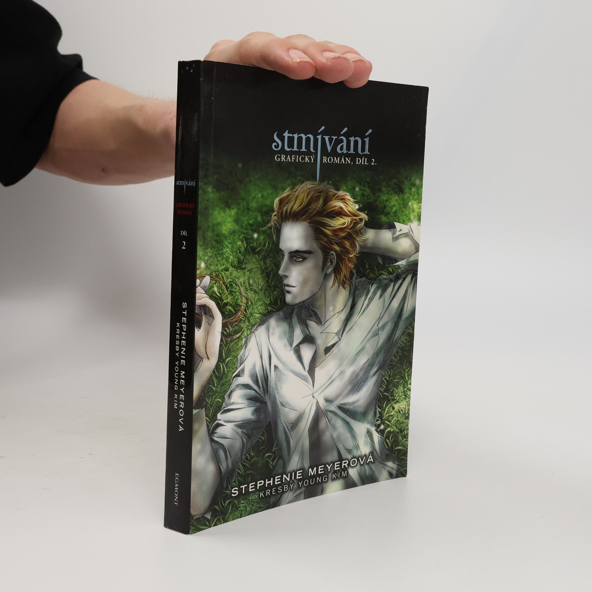 Stmívání: Grafický román 2