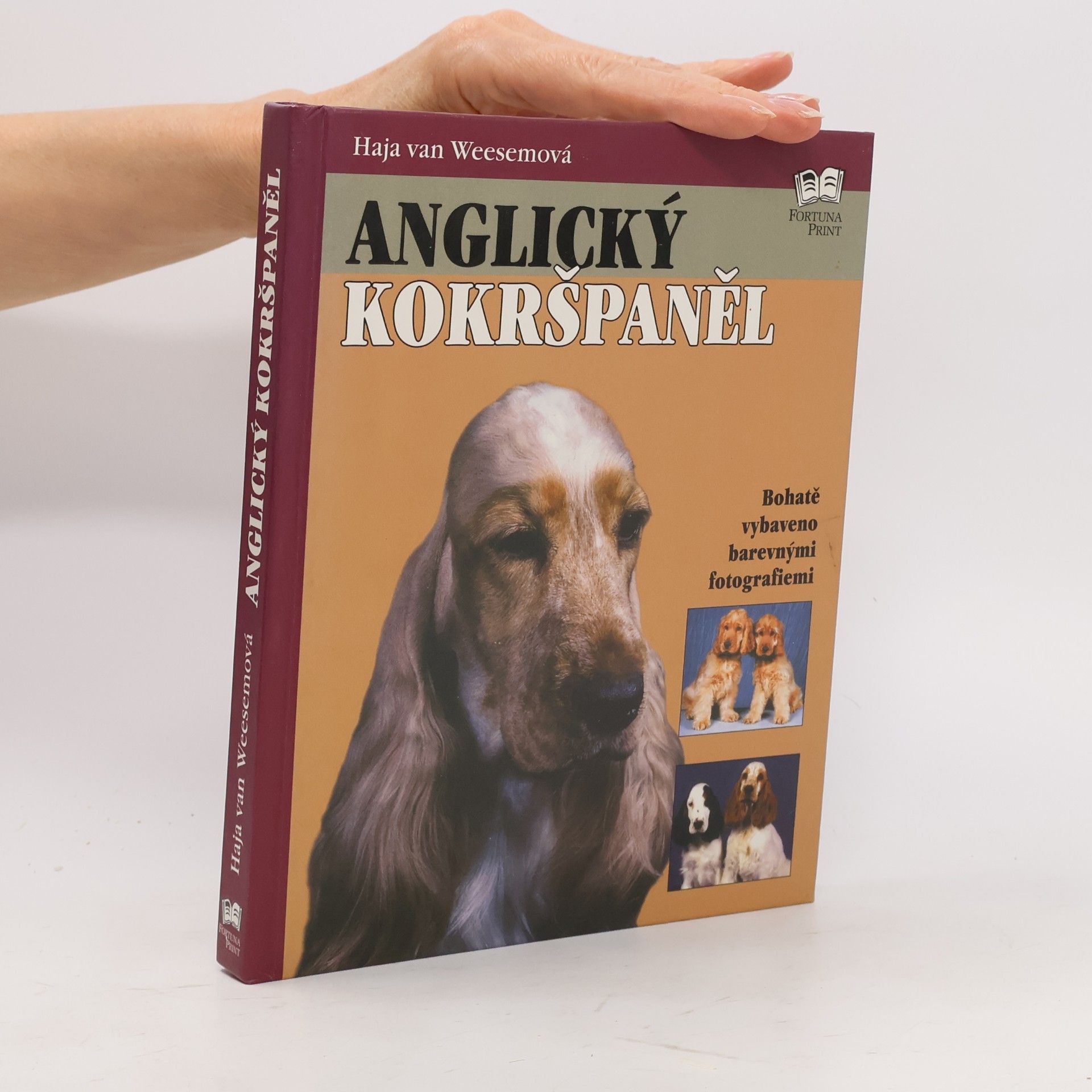 Haja van Wessem Anglický kokršpaněl