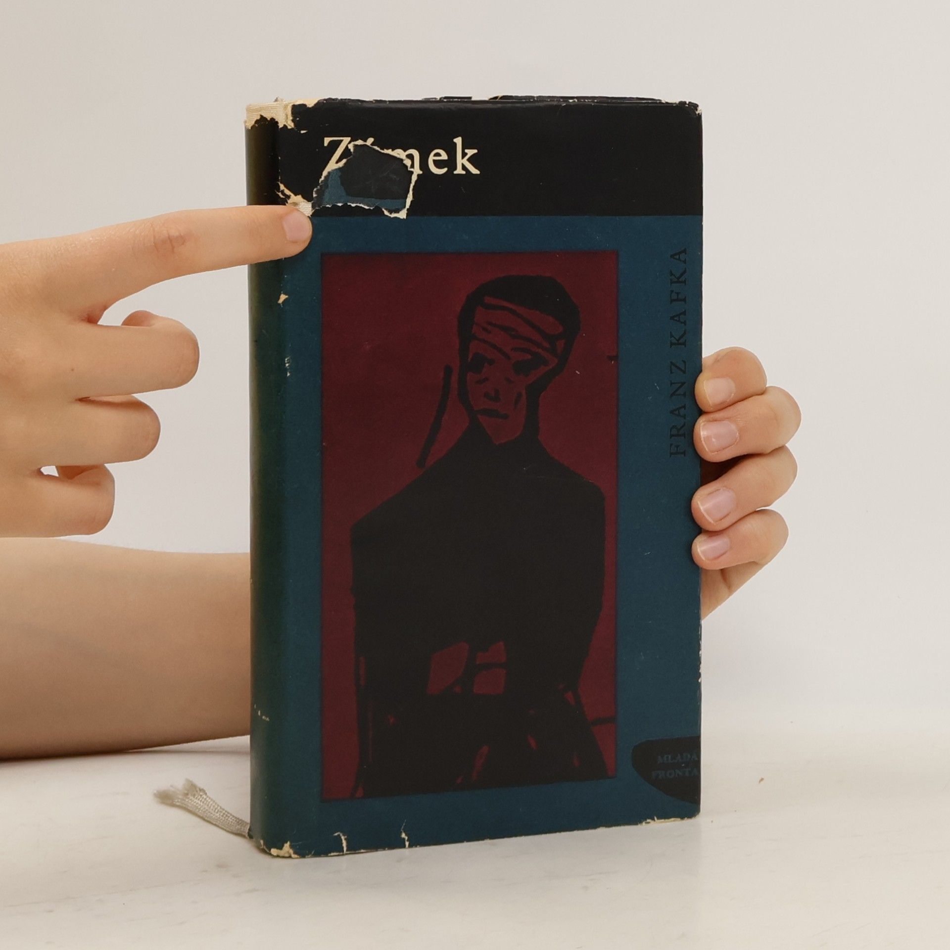 Franz Kafka Zámek
