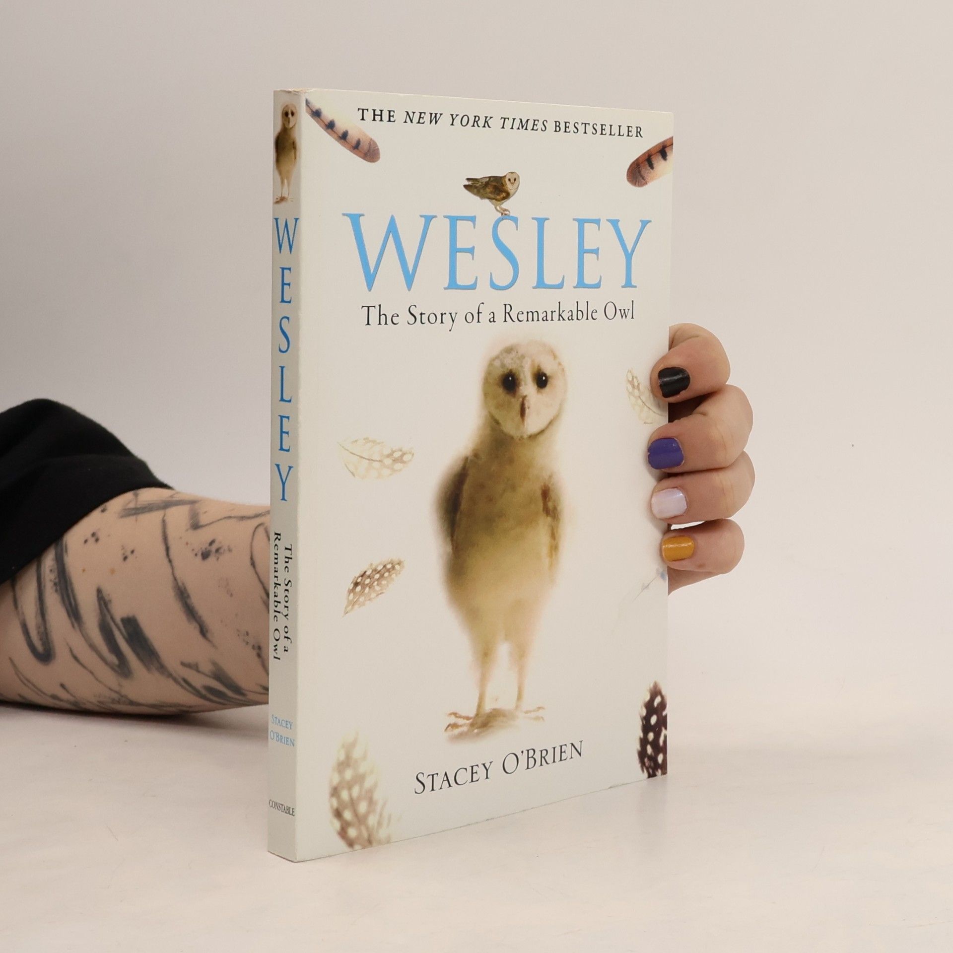 Stacey OBrien Wesley