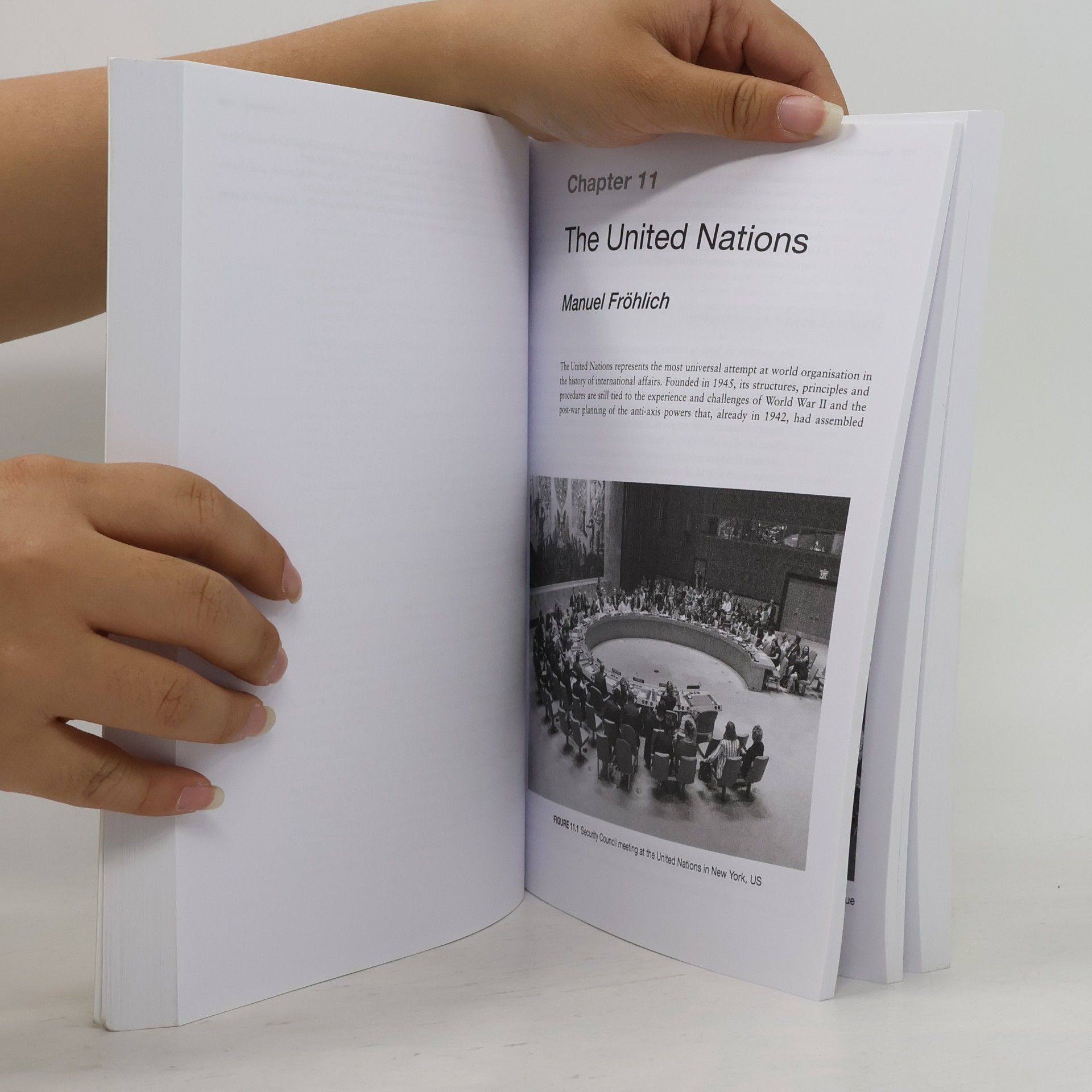 Prof. Dr. Klaus Larres Understanding Global Politics