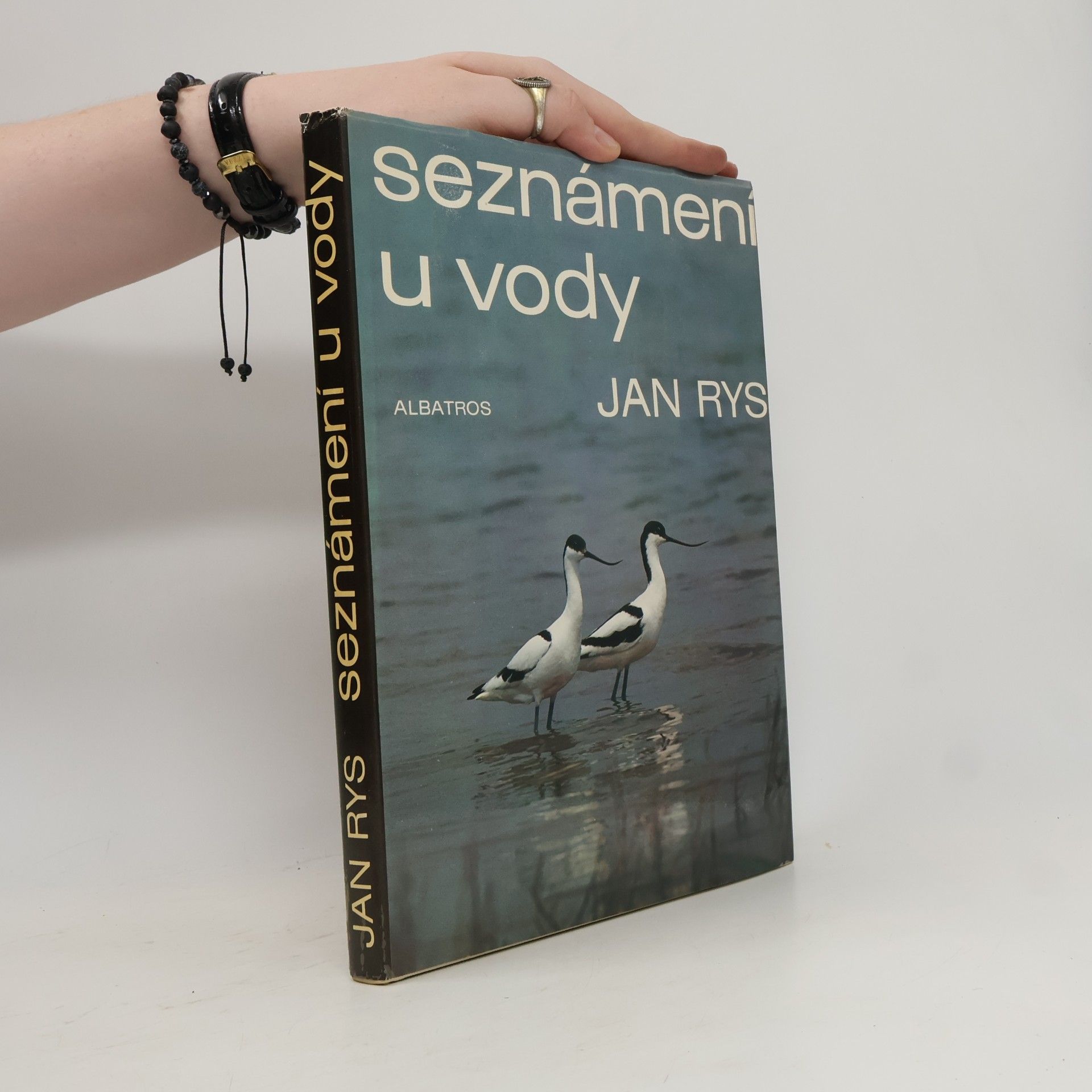 Jan Rys Seznámení u vody