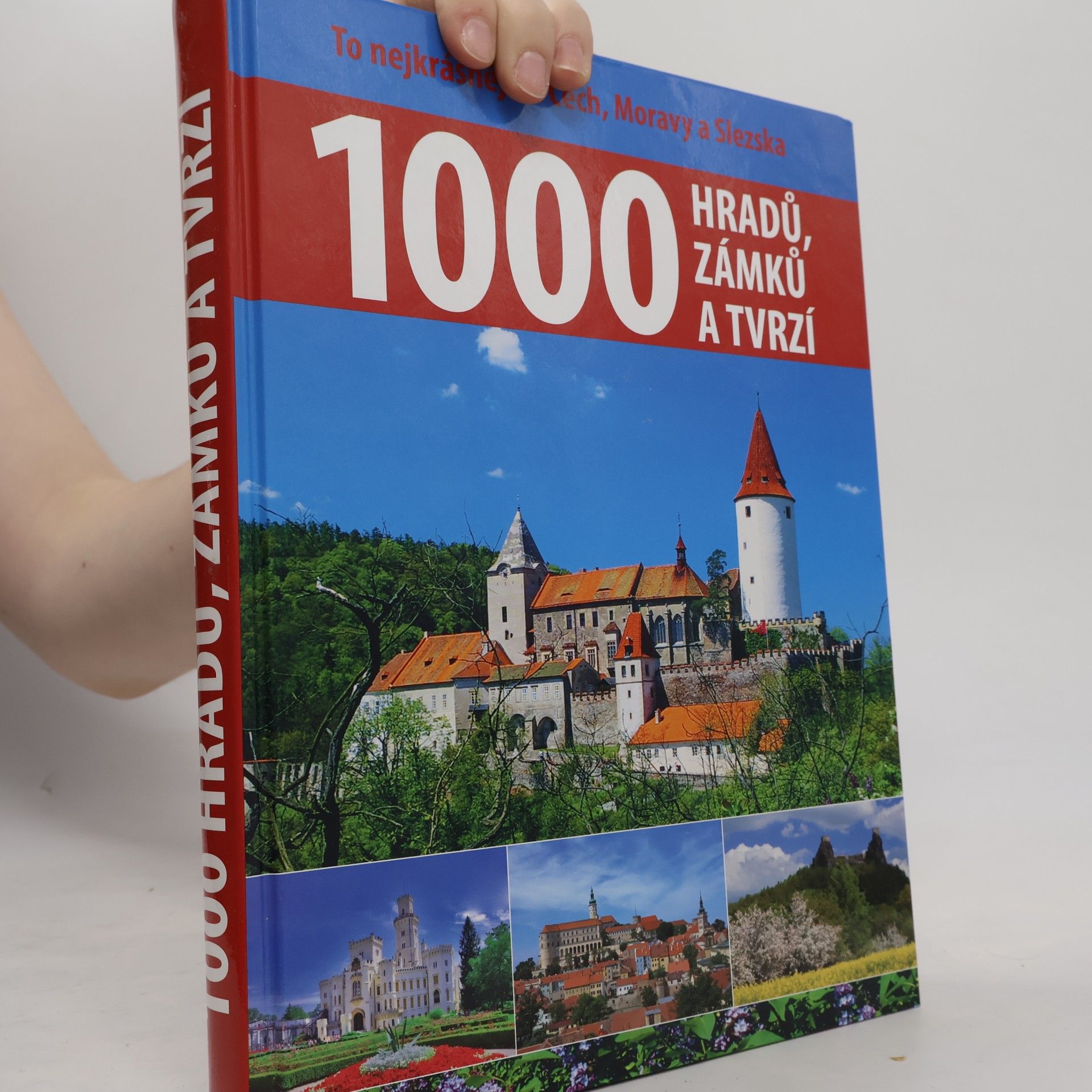 P. David 1000 hradů, zámků a tvrzí