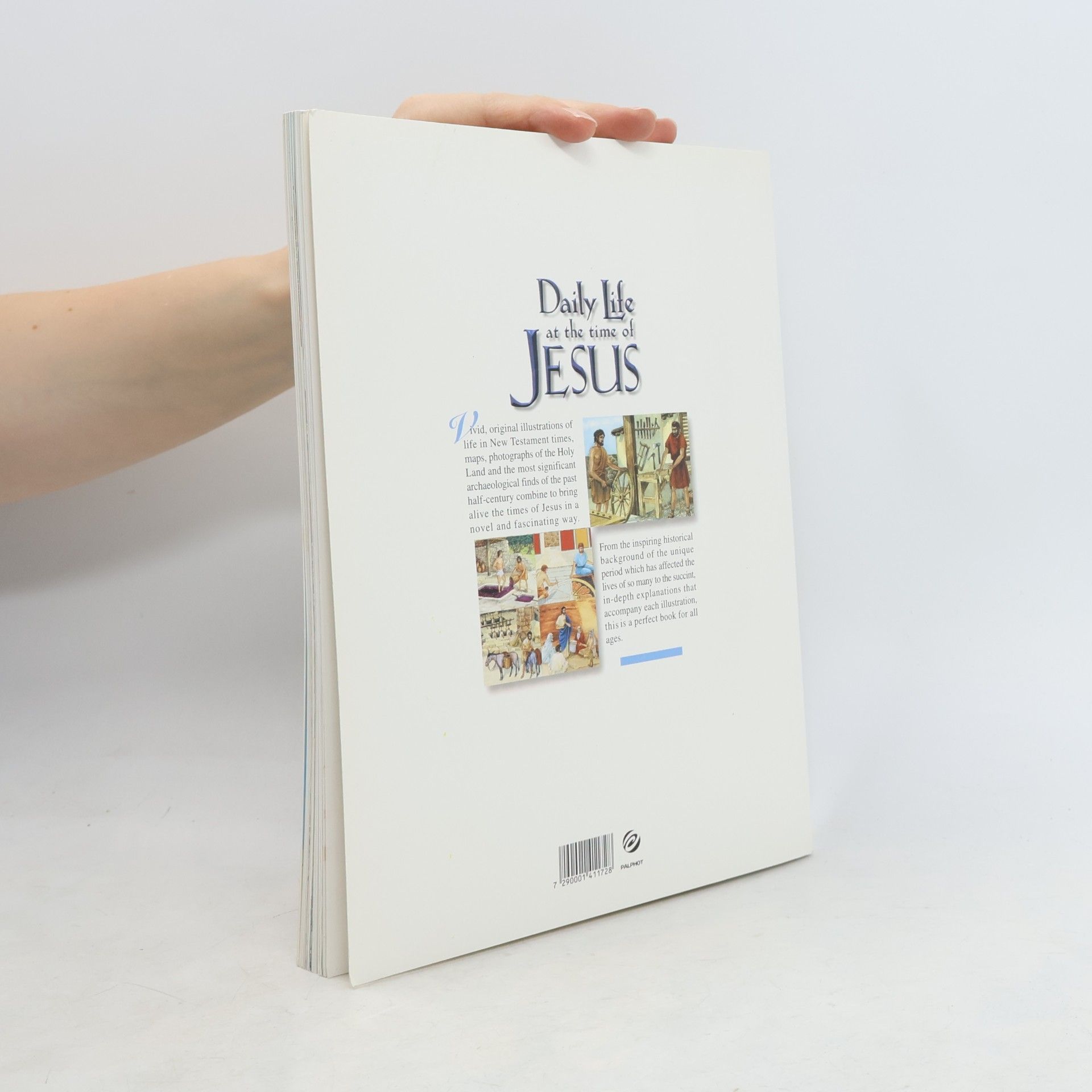 Miriam Feinberg Vamosh Daily Life at the Time of Jesus