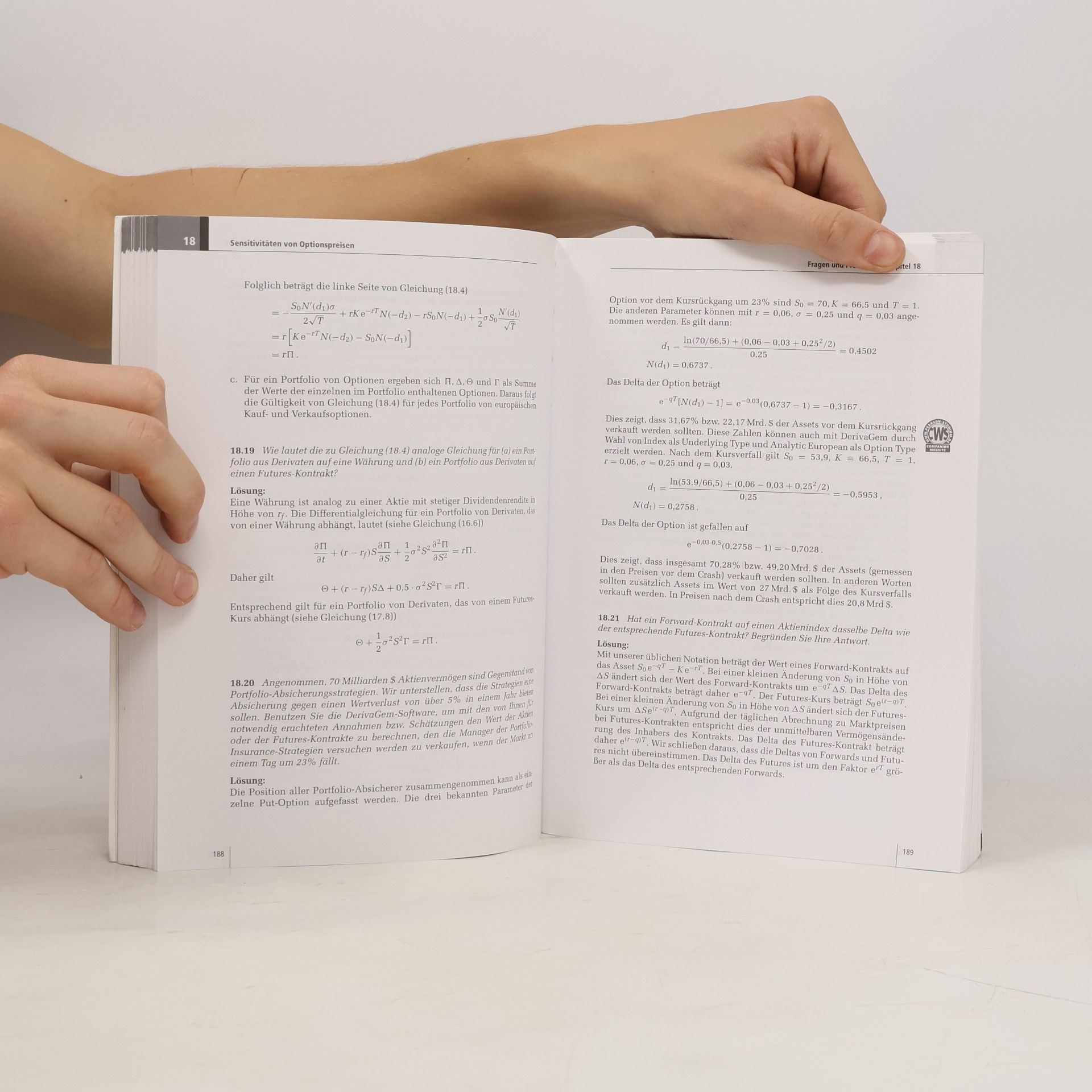 John C. Hull Optionen, Futures und andere Derivate - das Übungsbuch