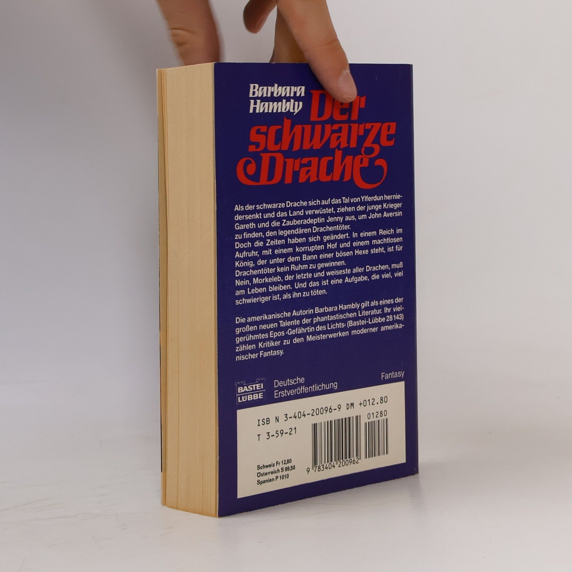 Barbara Hambly Der schwarze Drache