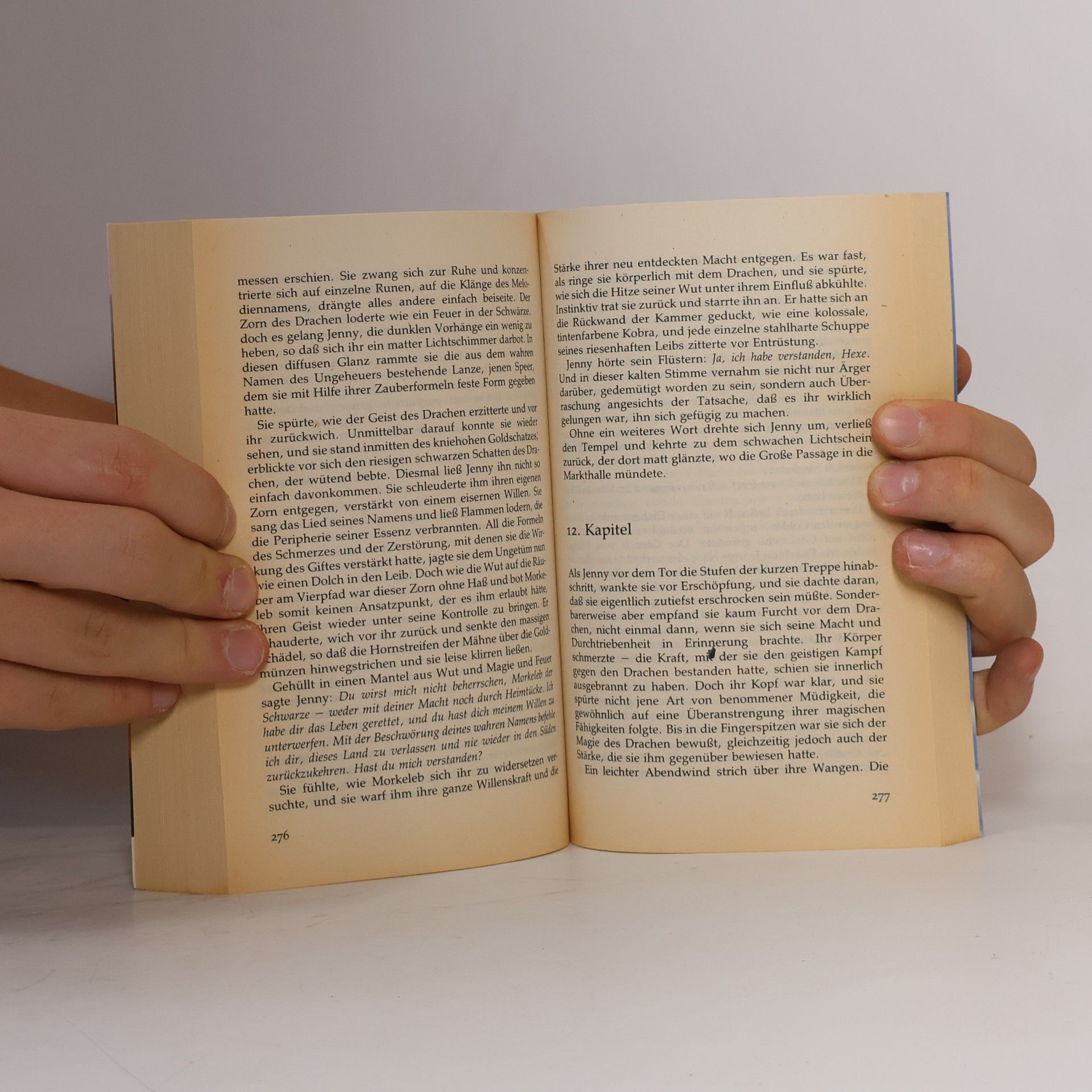 Barbara Hambly Der schwarze Drache