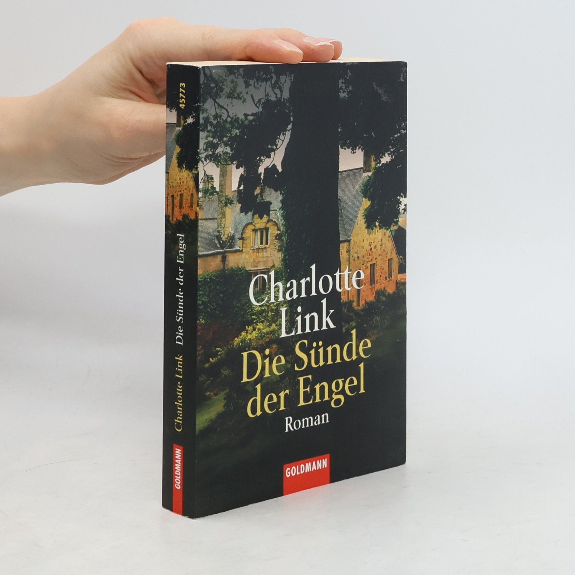 Charlotte Link Die Sünde der Engel