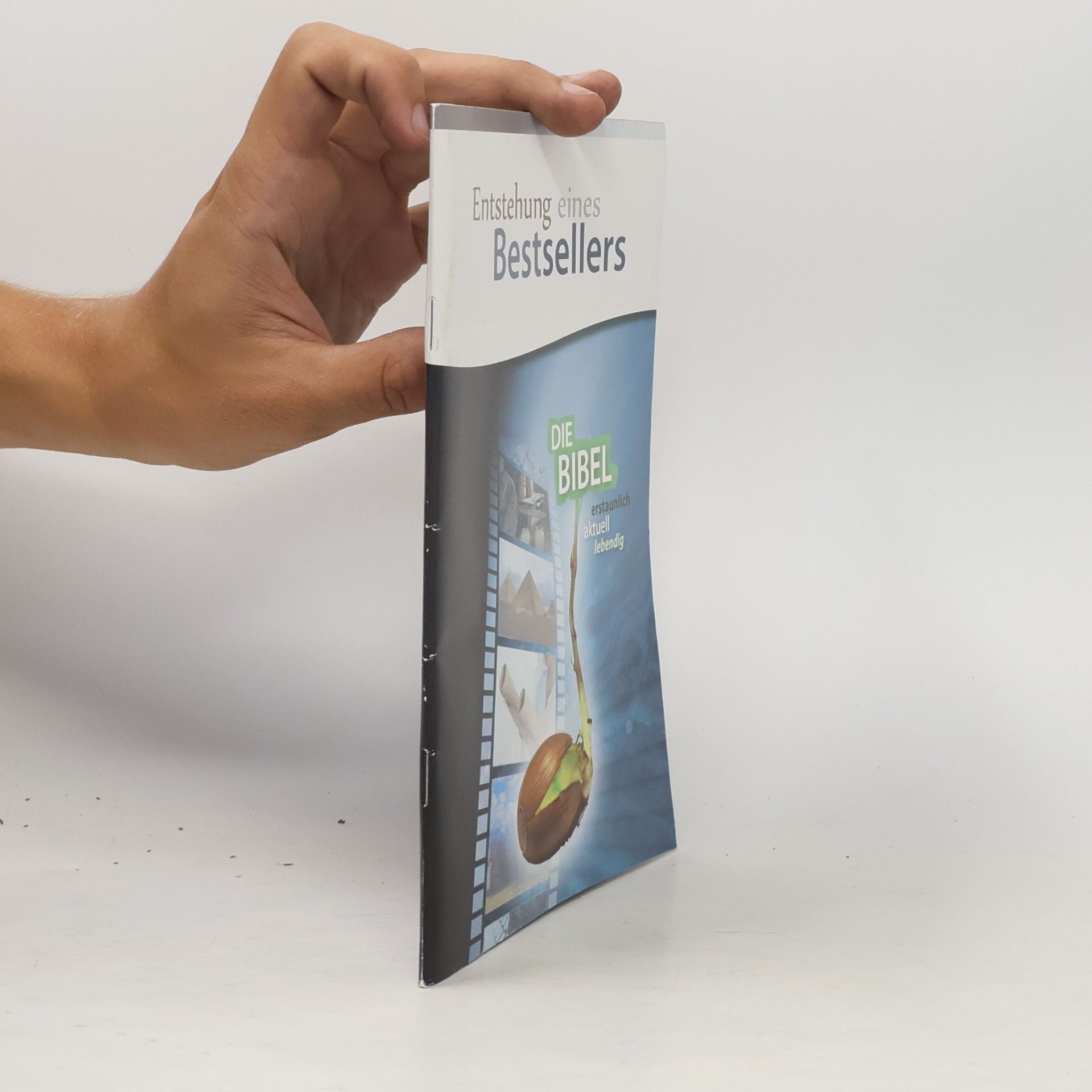 Autorenkollektiv Entstehung eines Bestsellers