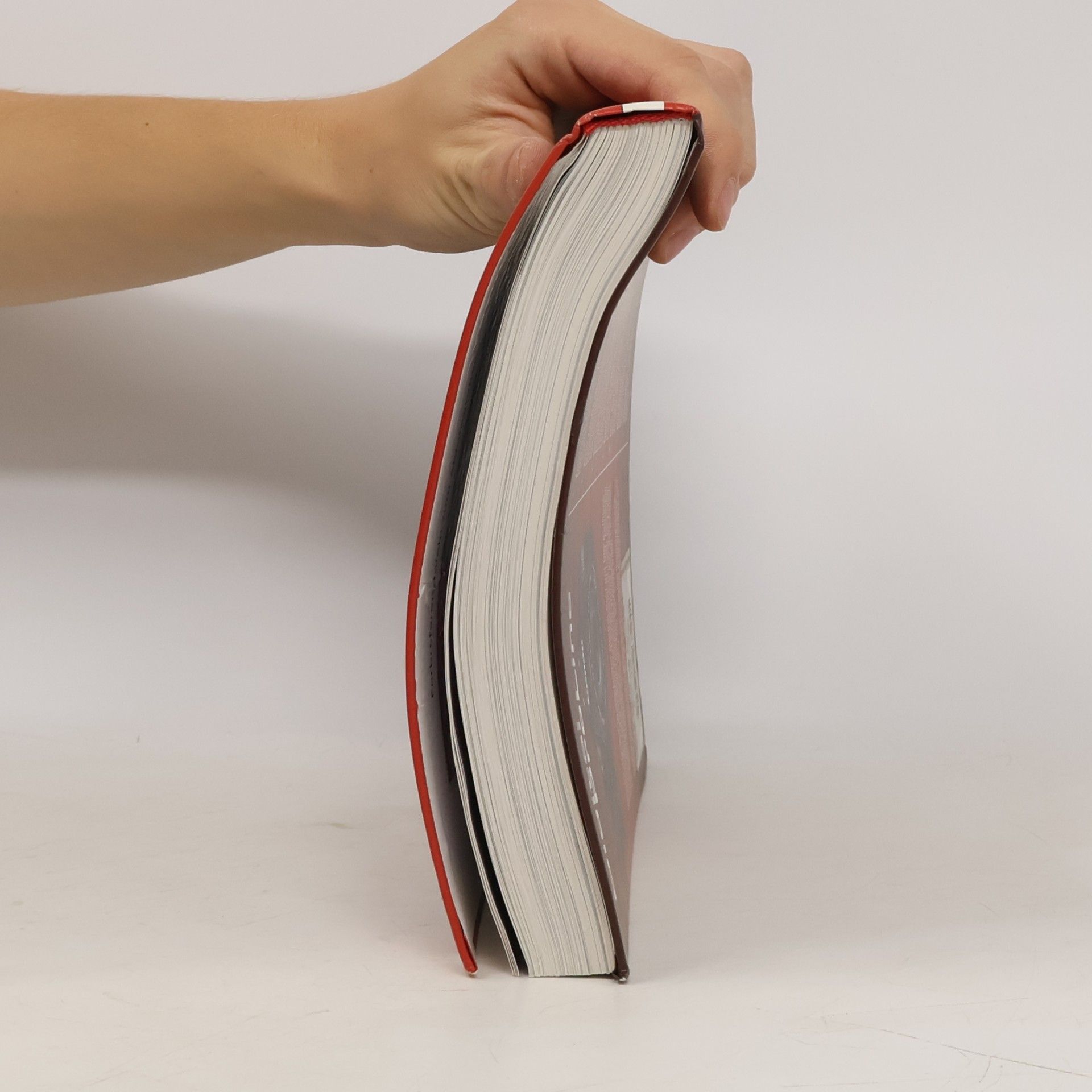 Stefan Gross Das Profi-Handbuch zur Canon EOS 60D