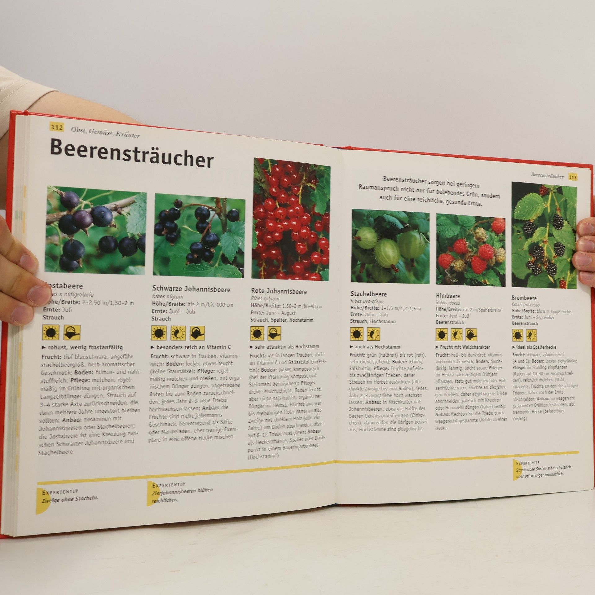 Wolfgang Hensel Noch mehr Gartenspaß ... mit Wasser im Garten, ... mit Kübelpflanzen, ... mit Obst, Gemüse und Kräutern