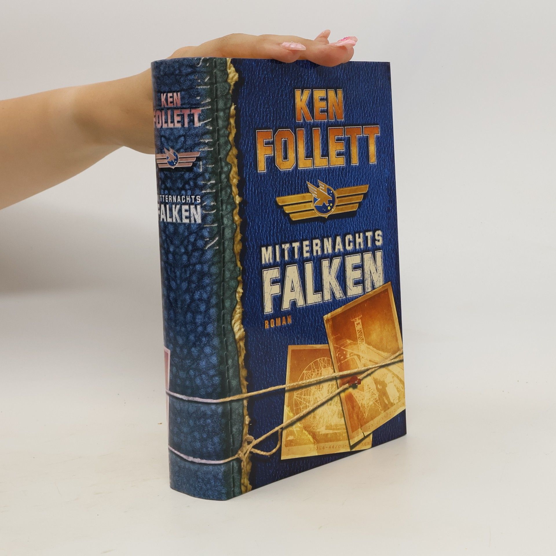Ken Follett Mitternachtsfalken
