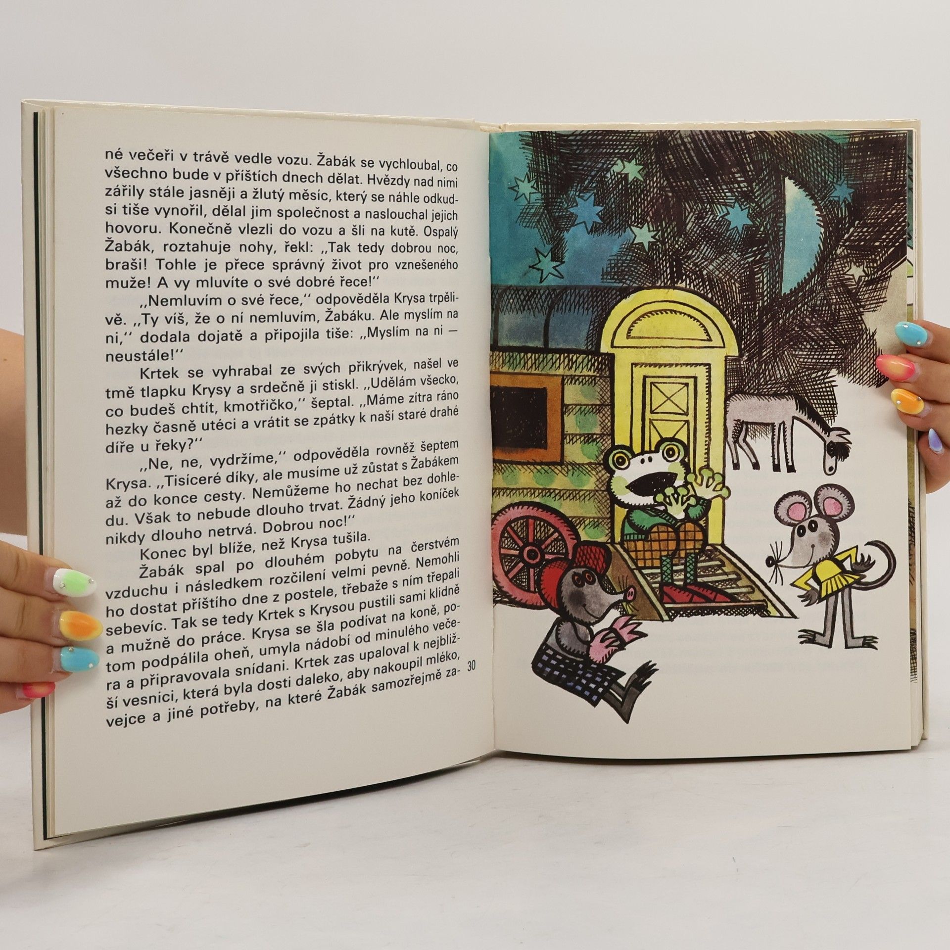 Kenneth Grahame Žabákova dobrodružství
