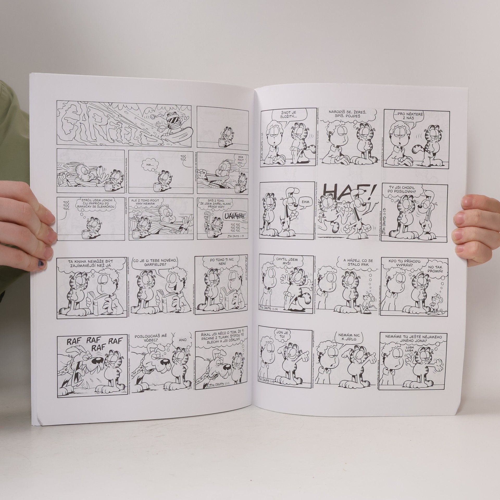 Jim Davis Garfield - zatmění Slunce