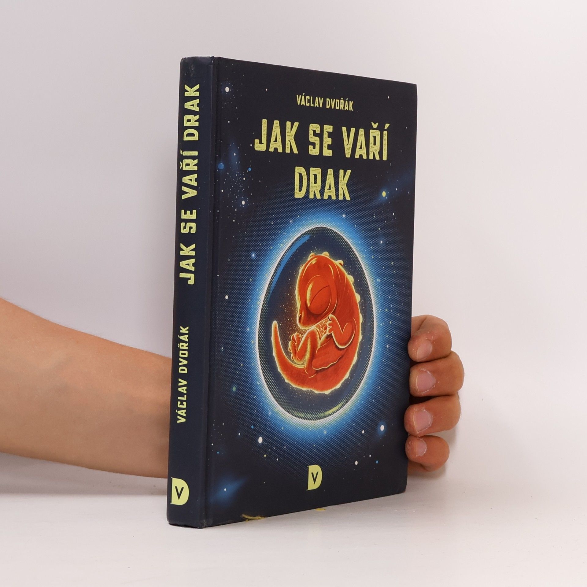 Václav Dvořák Jak se vaří drak