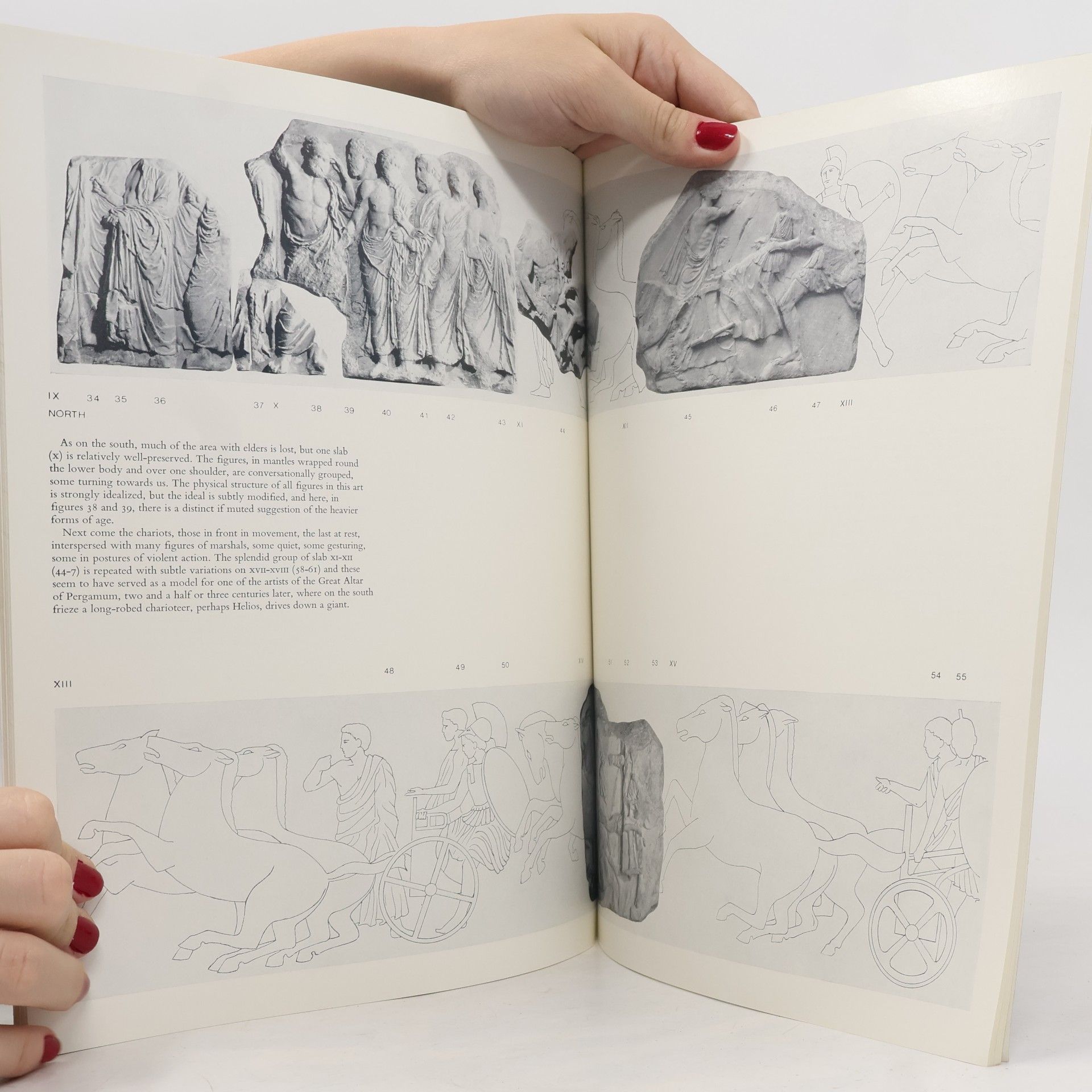 Martin Robertson The Parthenon Frieze