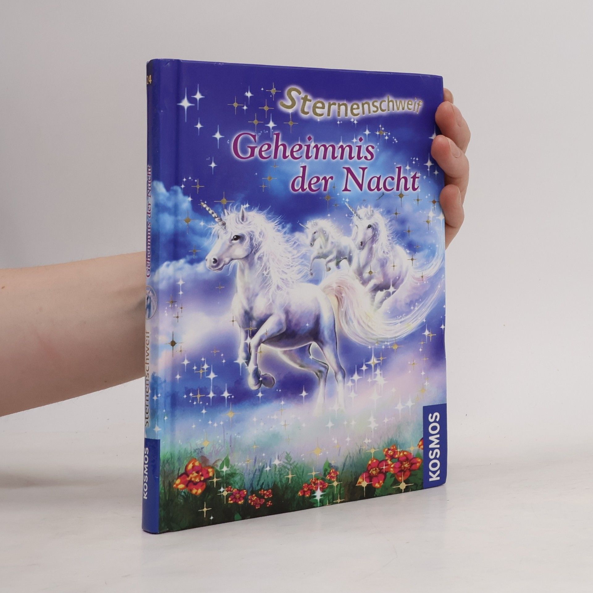 Ina Brandt Geheimnis der Nacht