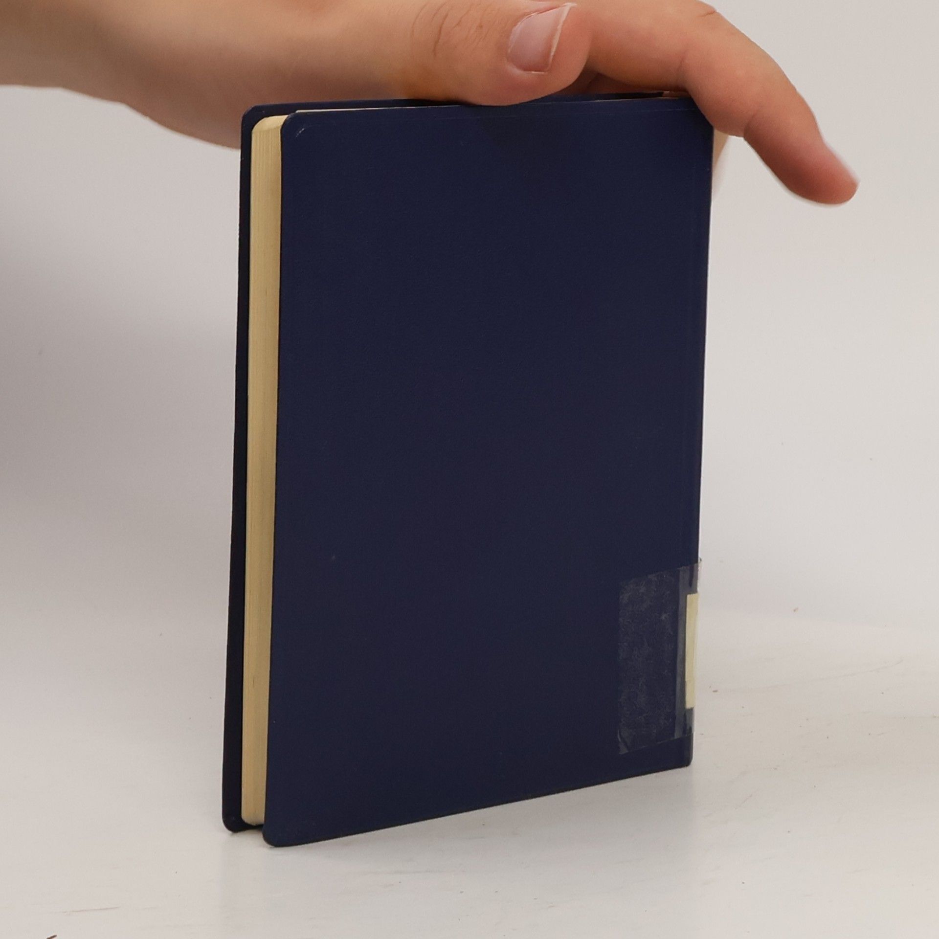 Wilhelm Peter Handbuch für den Ortsnetzbau
