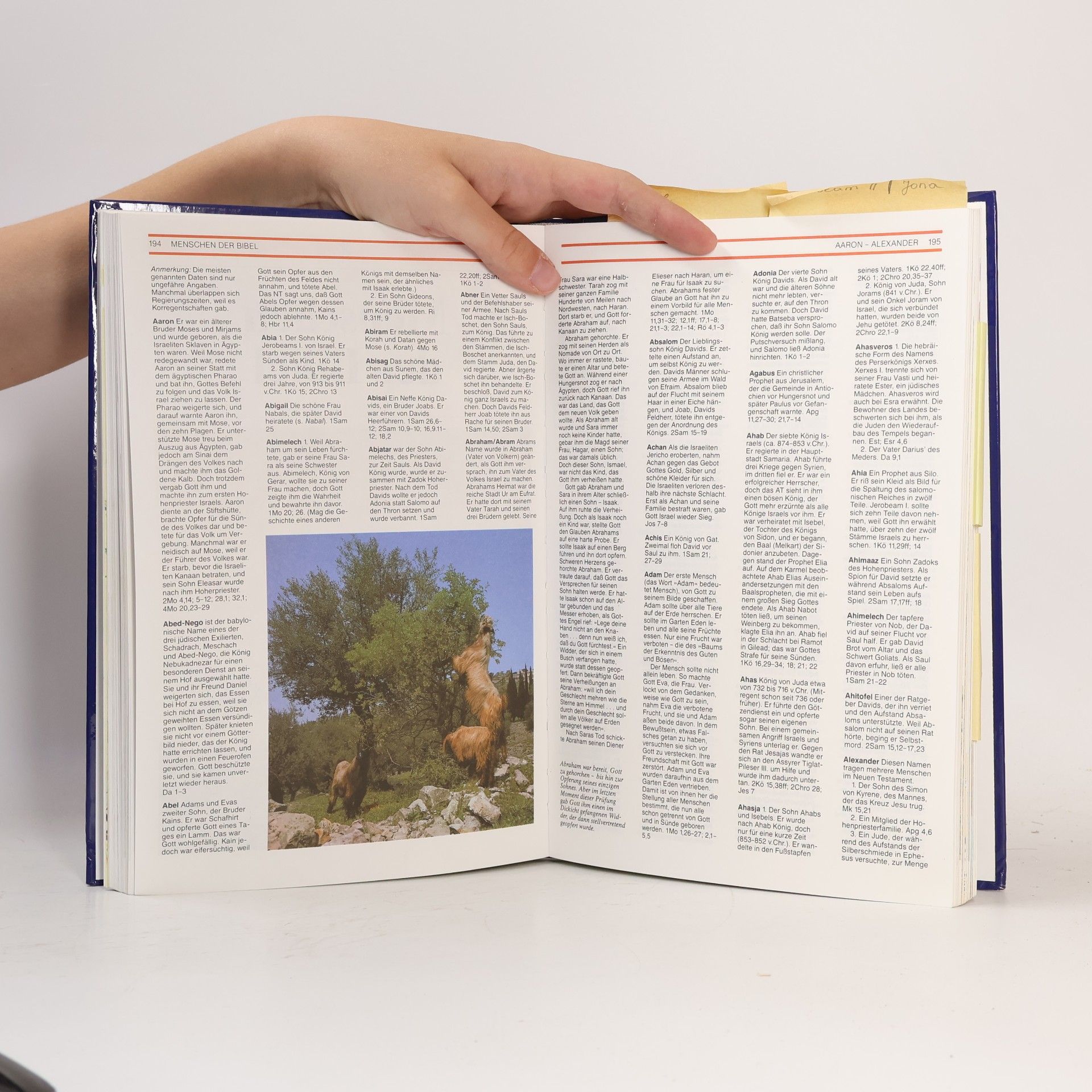 David Alexander Die Welt der Bibel