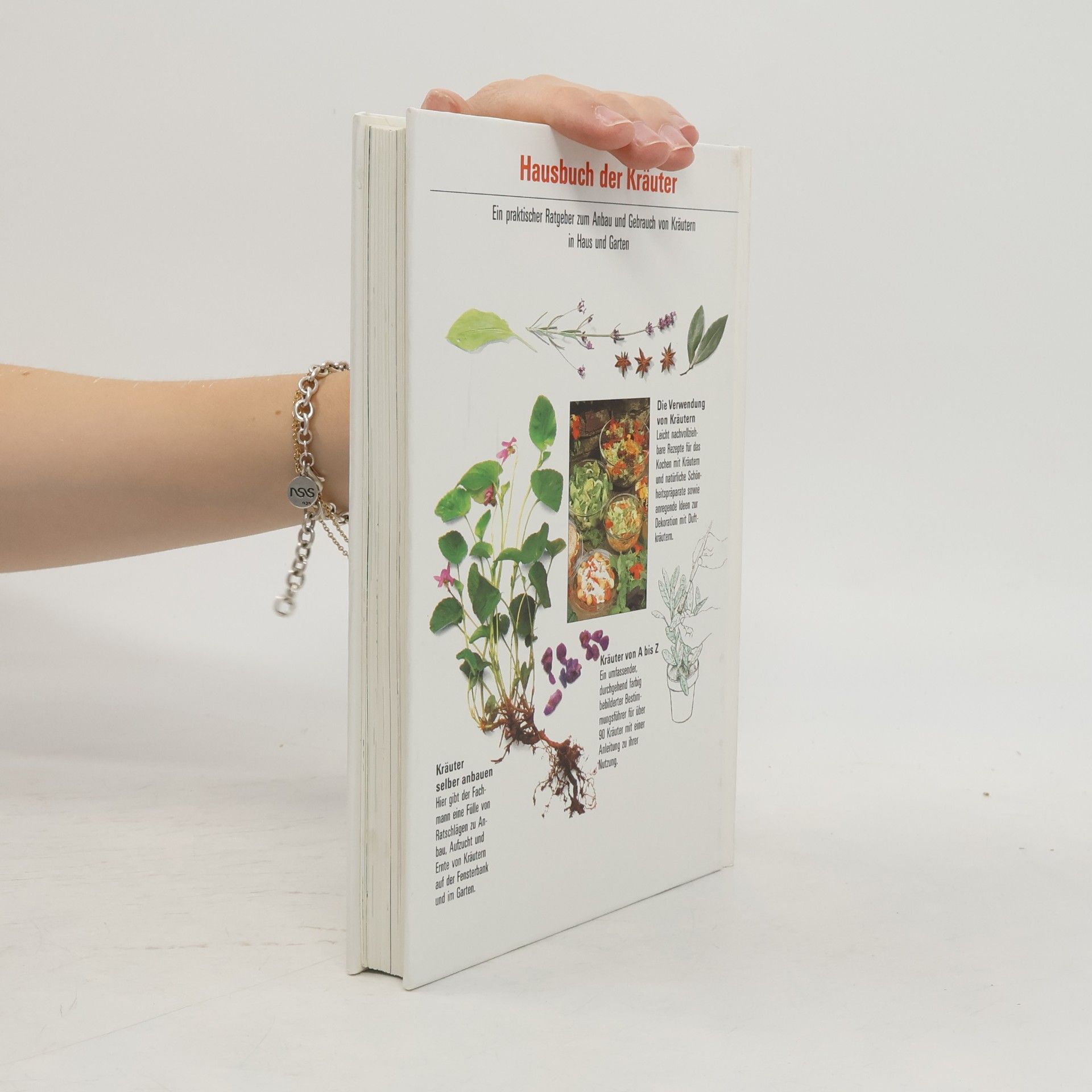Autorenkollektiv Hausbuch der Kräuter
