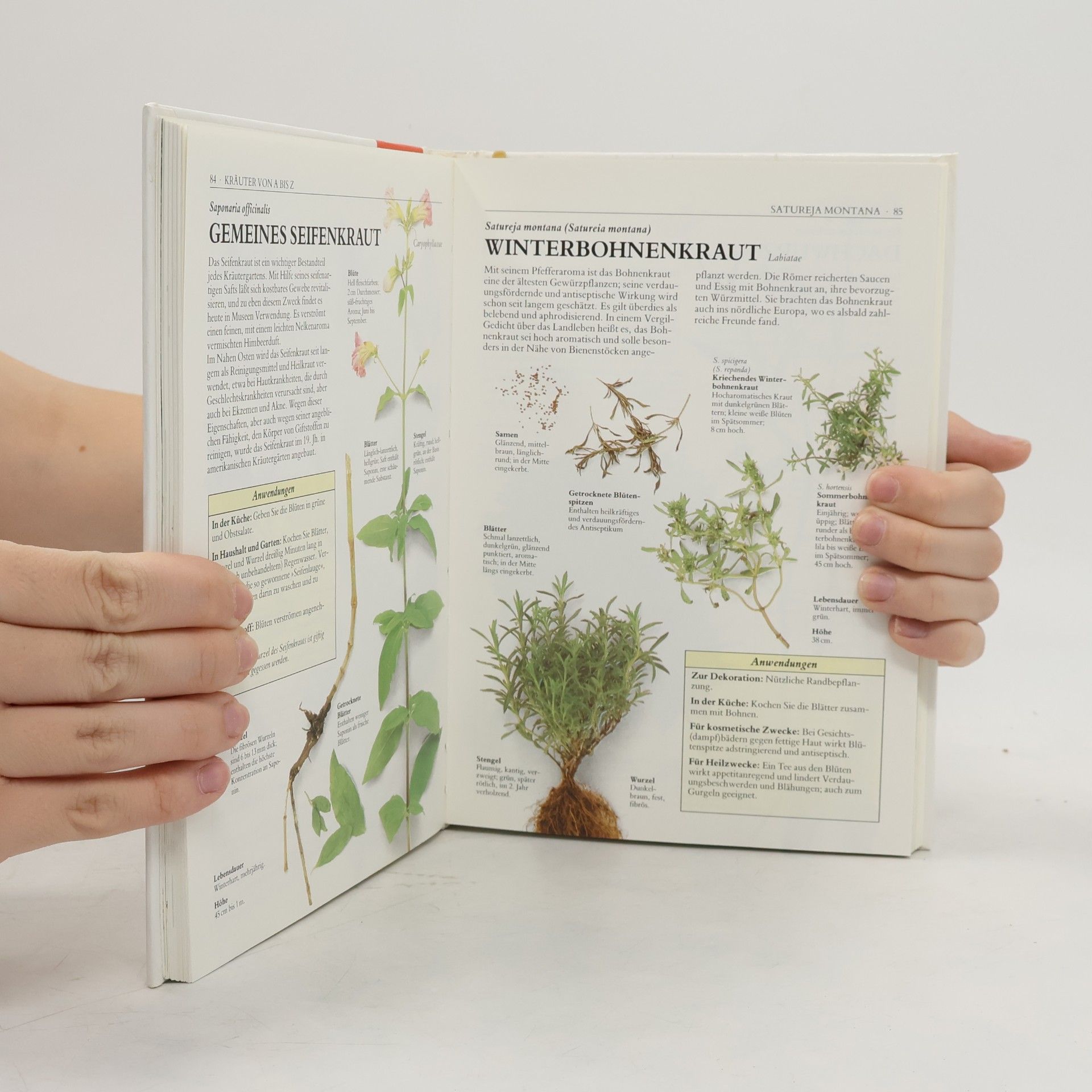 Autorenkollektiv Hausbuch der Kräuter
