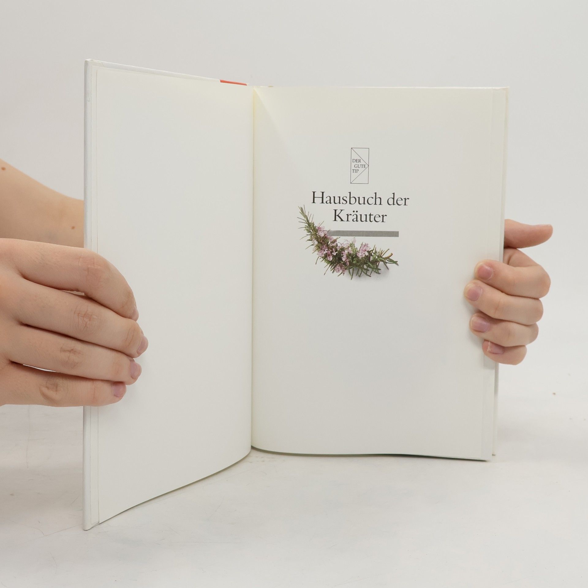 Autorenkollektiv Hausbuch der Kräuter