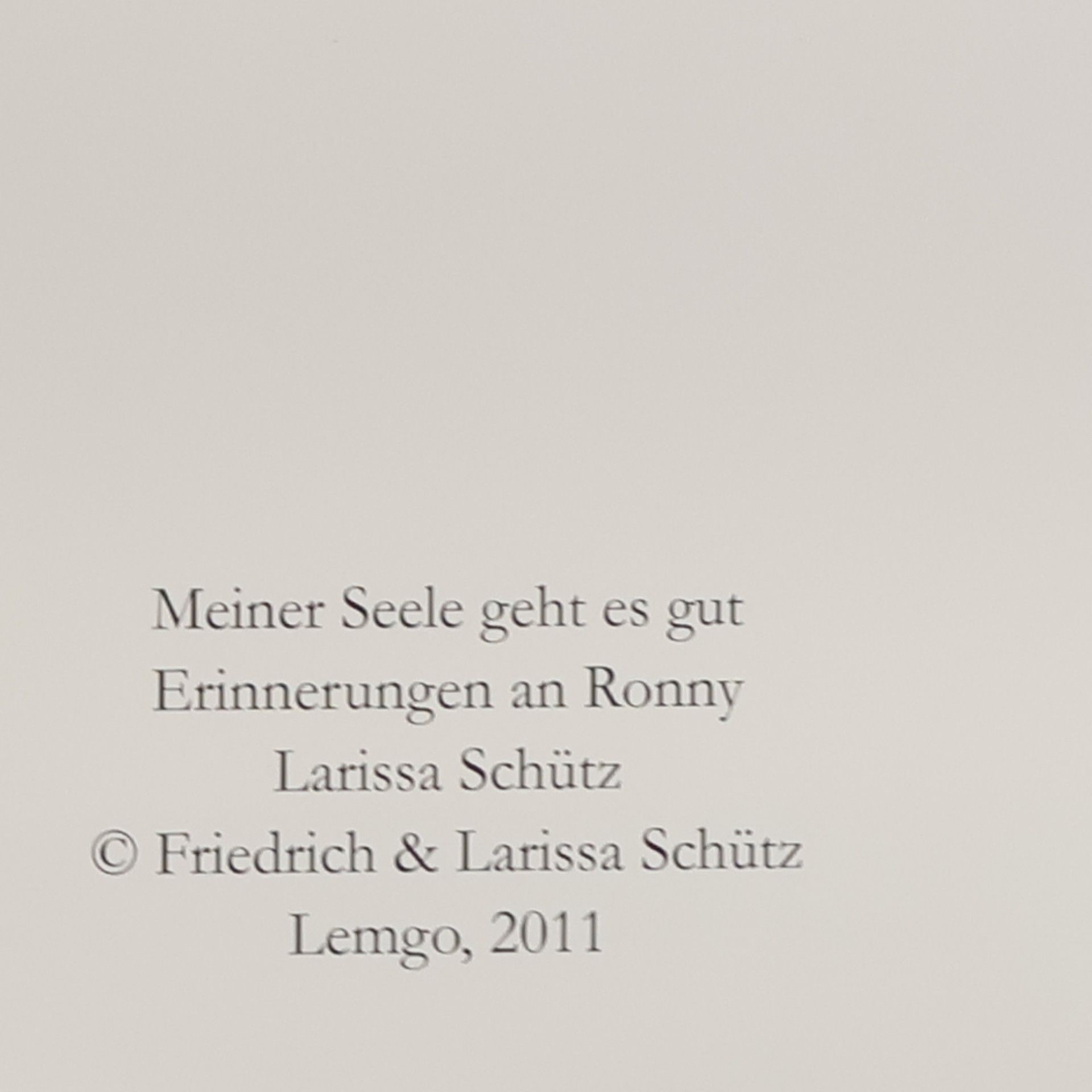 Larissa Schütz Meiner Seele geht es gut