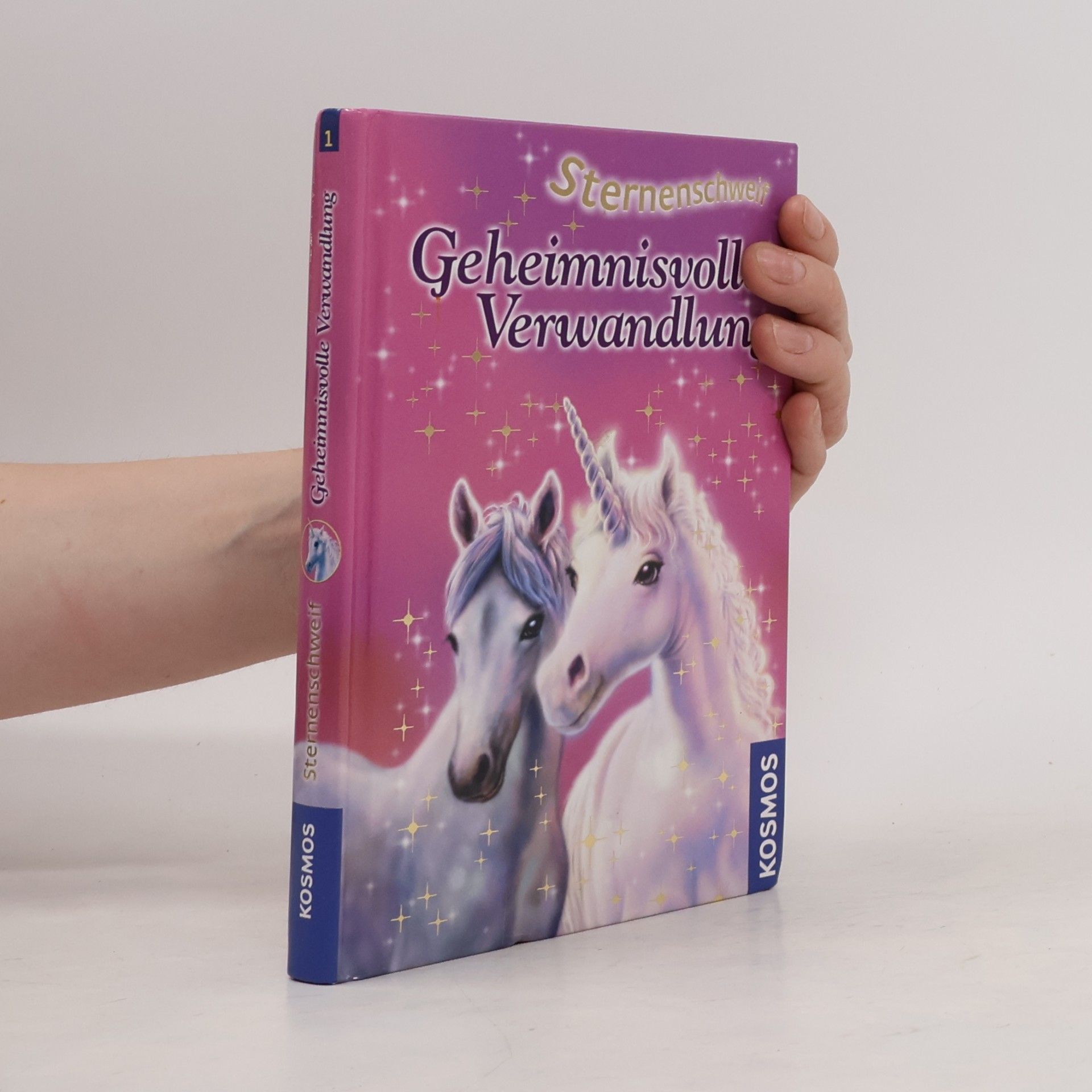 Linda Chapman Geheimnisvolle Verwandlung