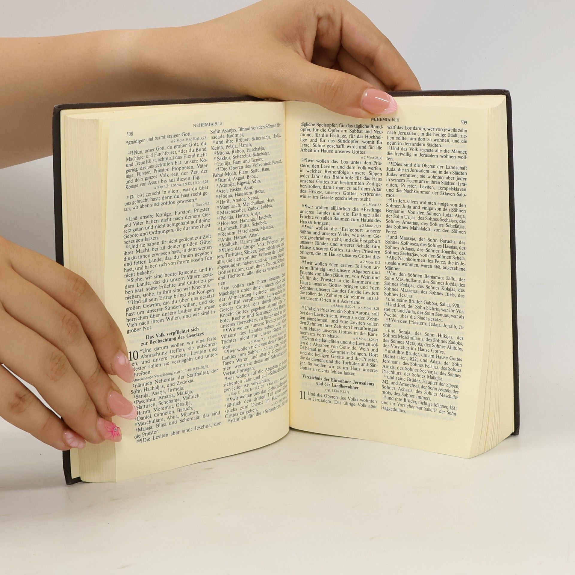 Martin Luther Die Bibel