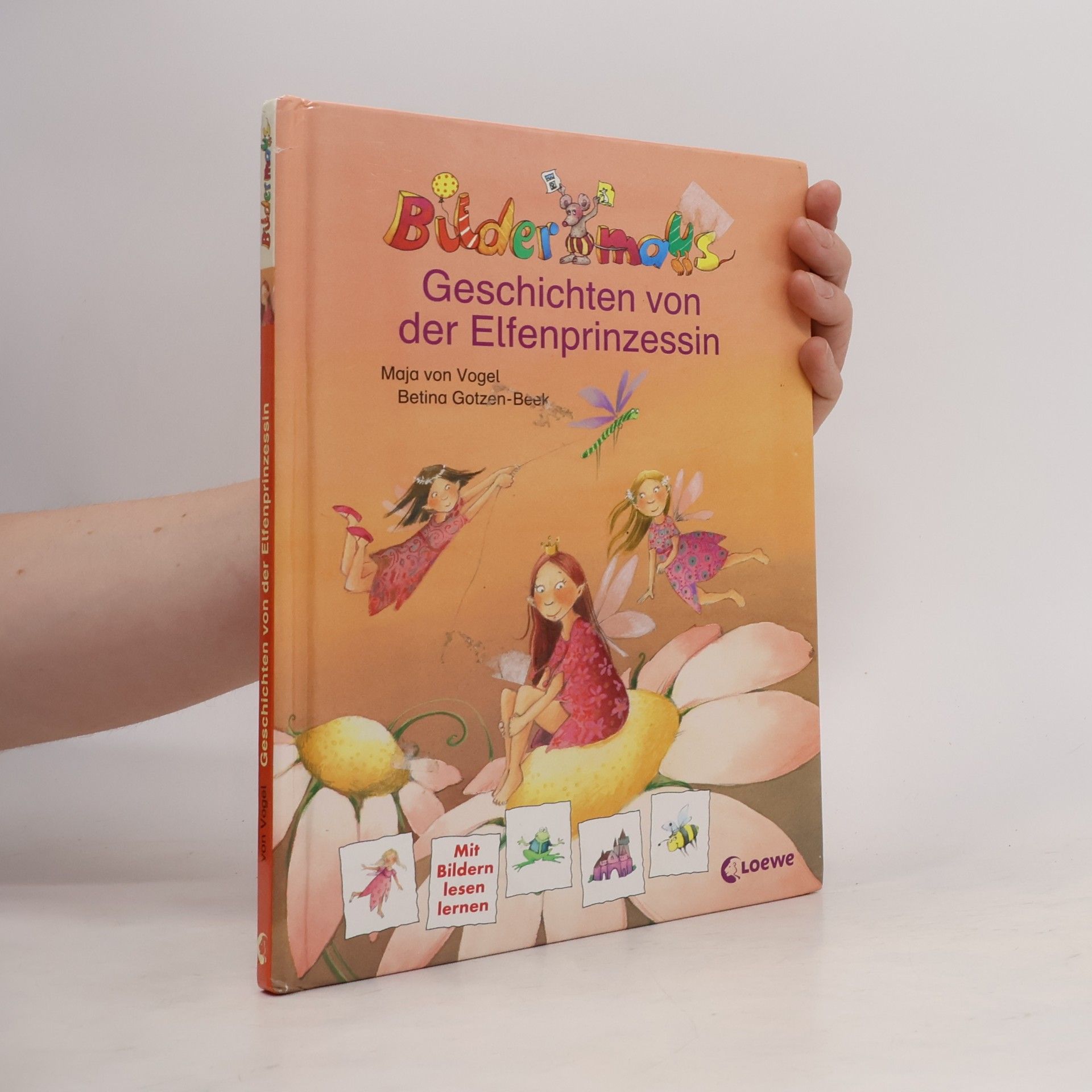 Maja von Vogel Bildermaus-Geschichten von der Elfenprinzessin