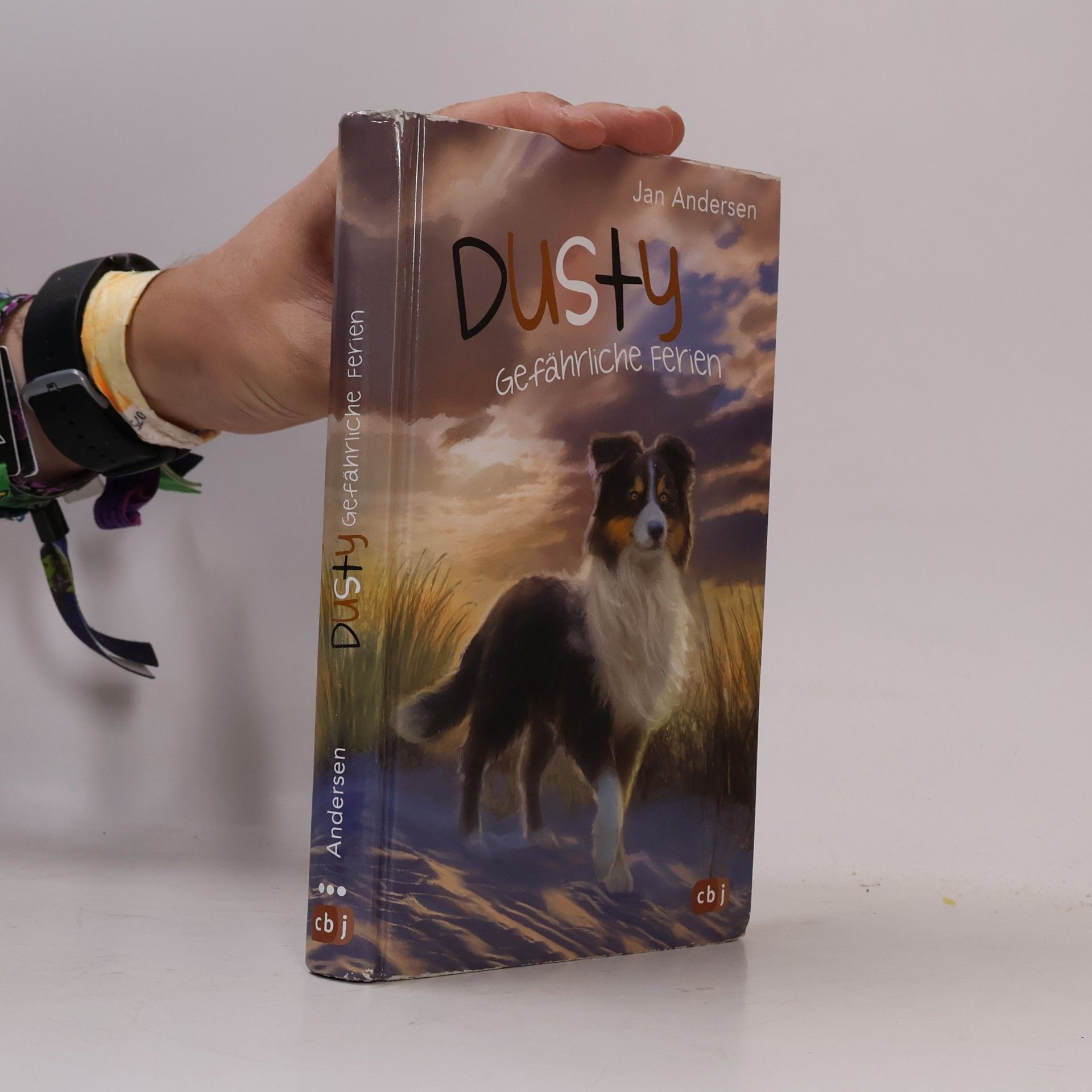 Wolfram Hänel Dusty. Gefährliche Ferien