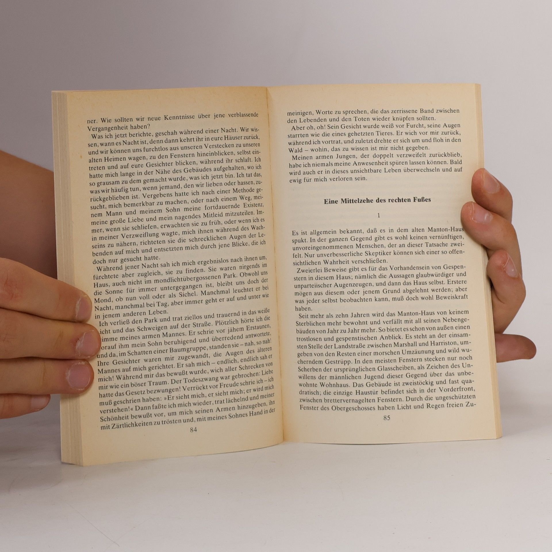Ambrose Bierce Das Spukhaus