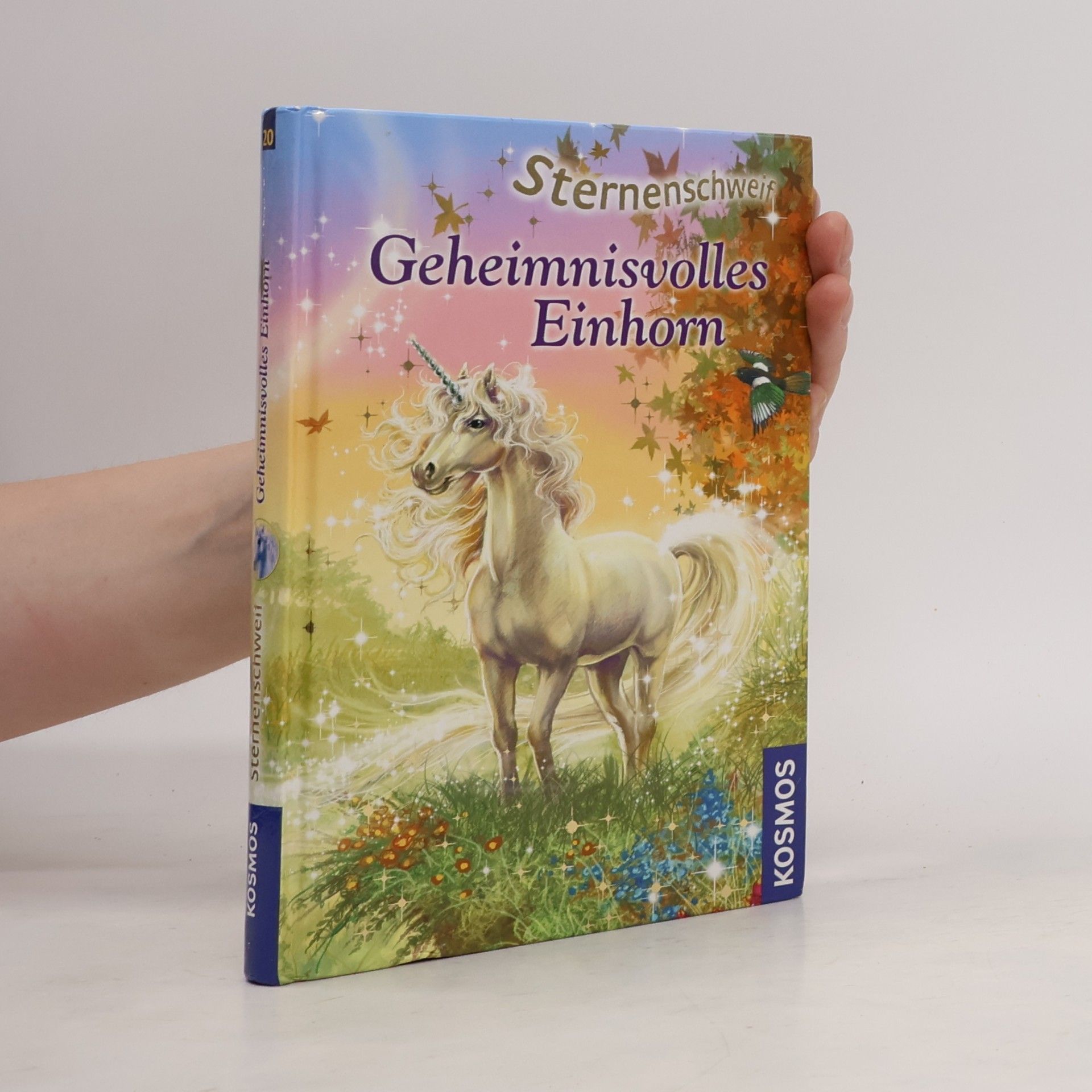 Ina Brandt Sternenschweif. Geheimnisvolles Einhorn 20