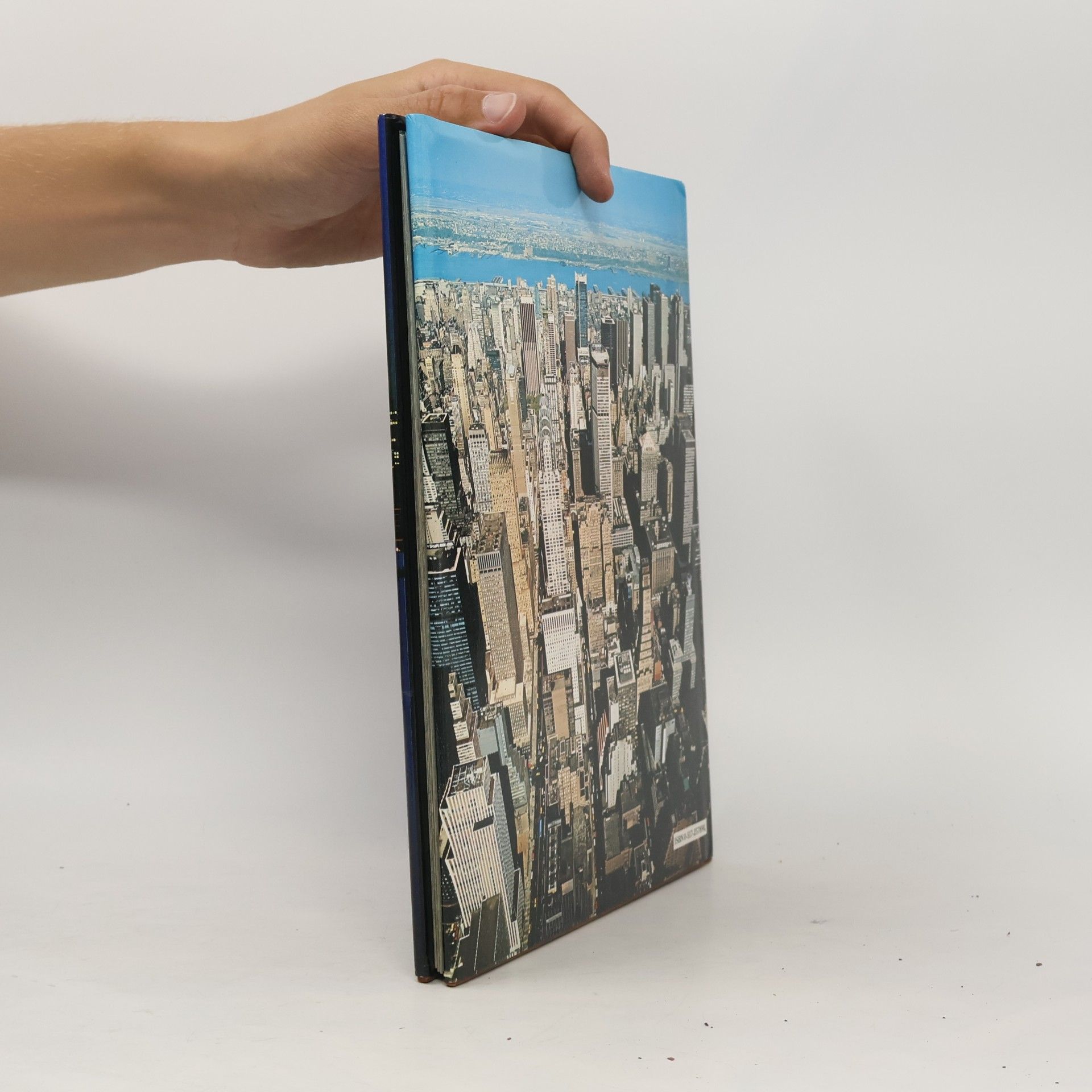 Auteurscollectief New York : A Picture Book to Remember Her by