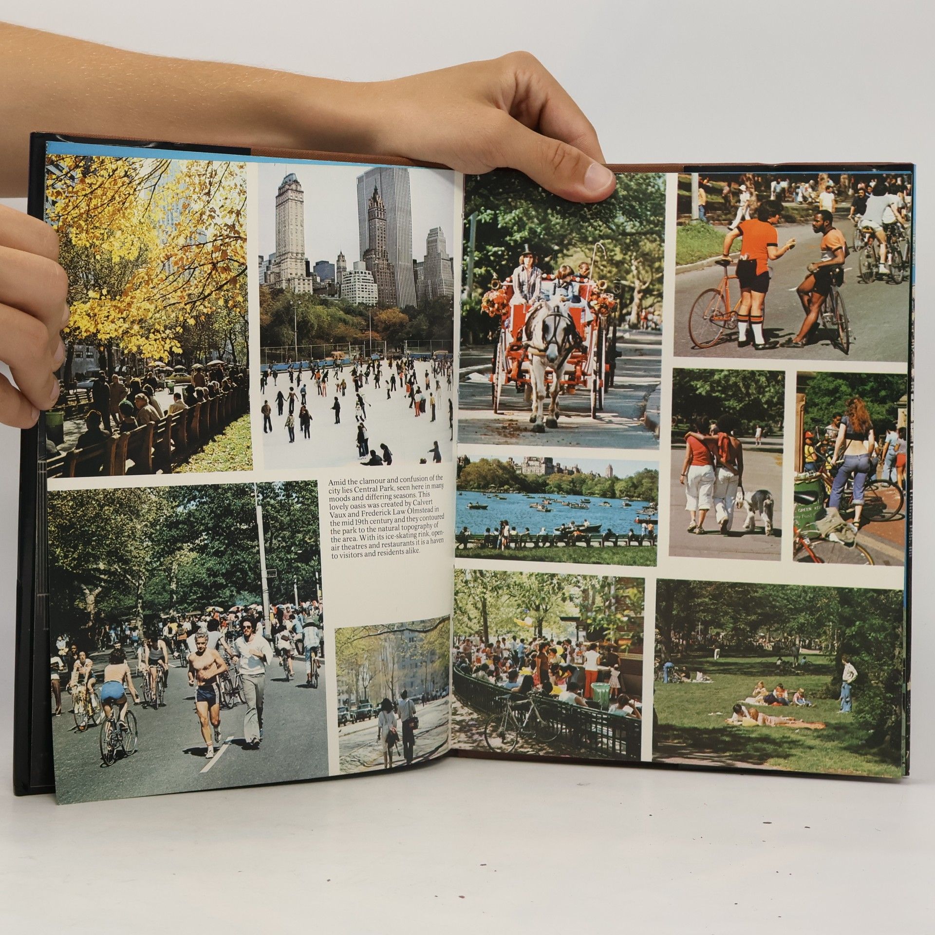 Auteurscollectief New York : A Picture Book to Remember Her by