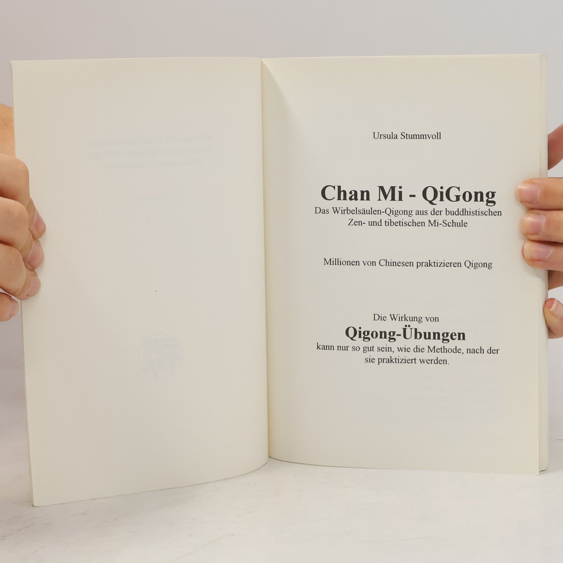 Ursula Stummvoll Chan-Mi-QiGong