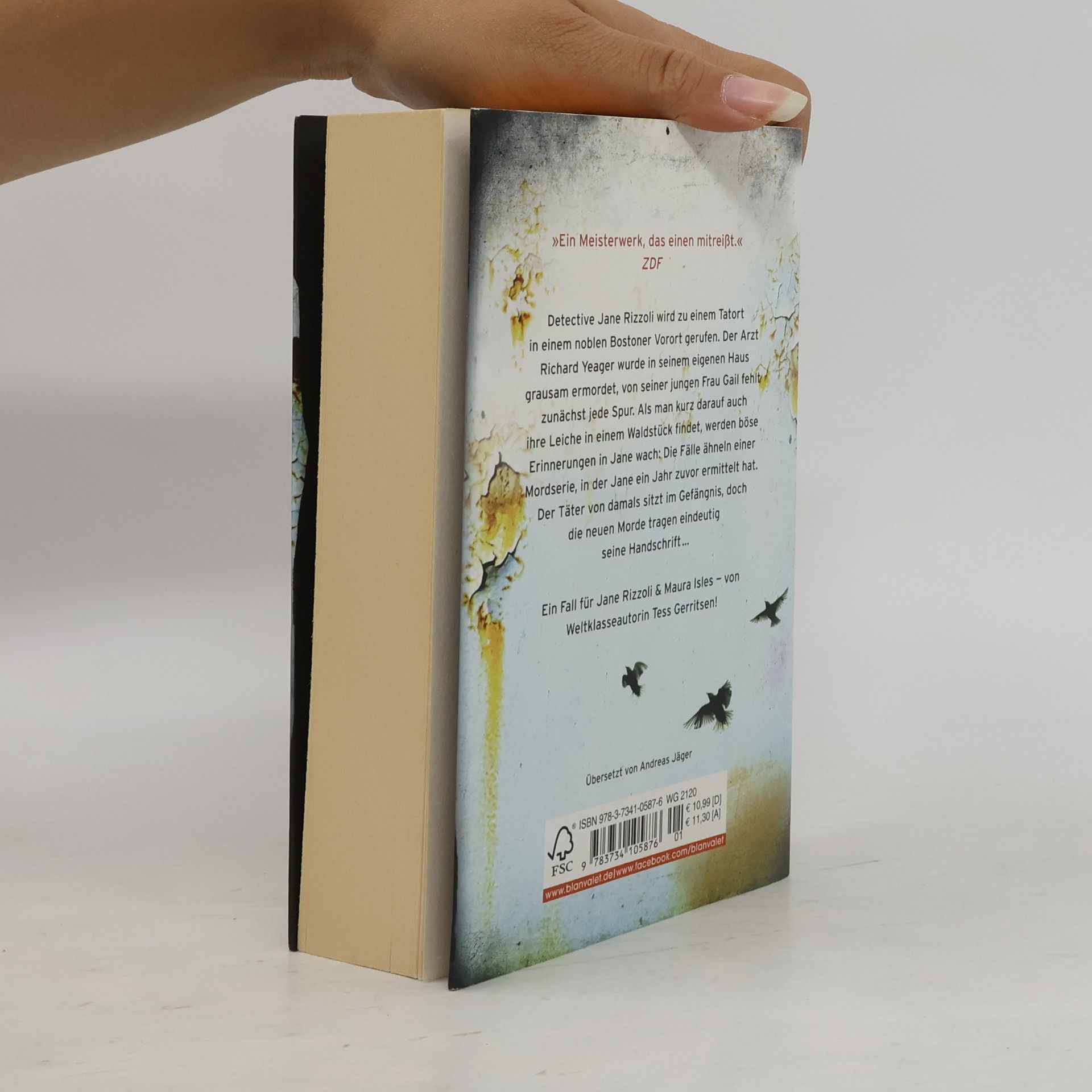 Tess Gerritsen Der Meister