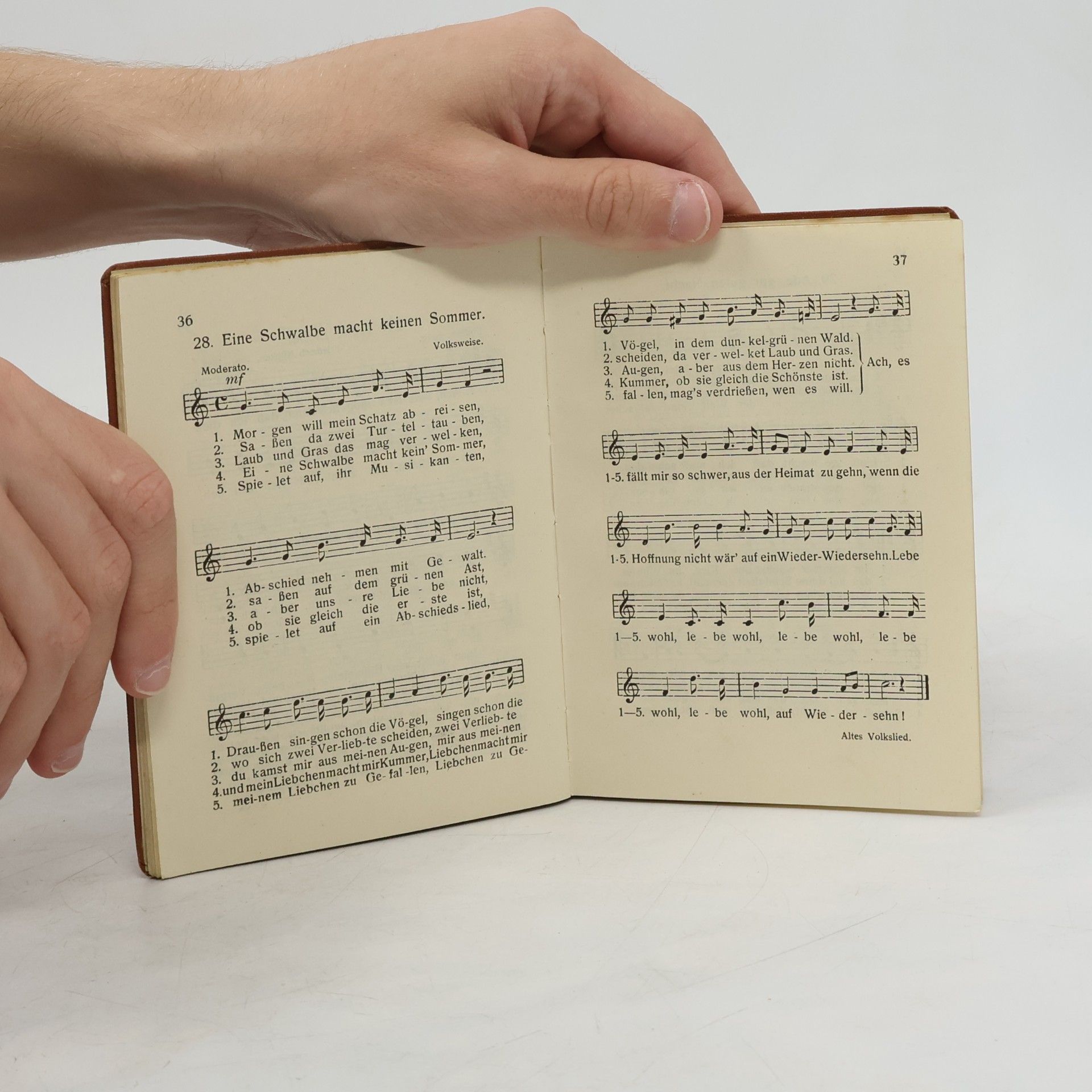 Willy Herrmann Schulgesangbuch V.