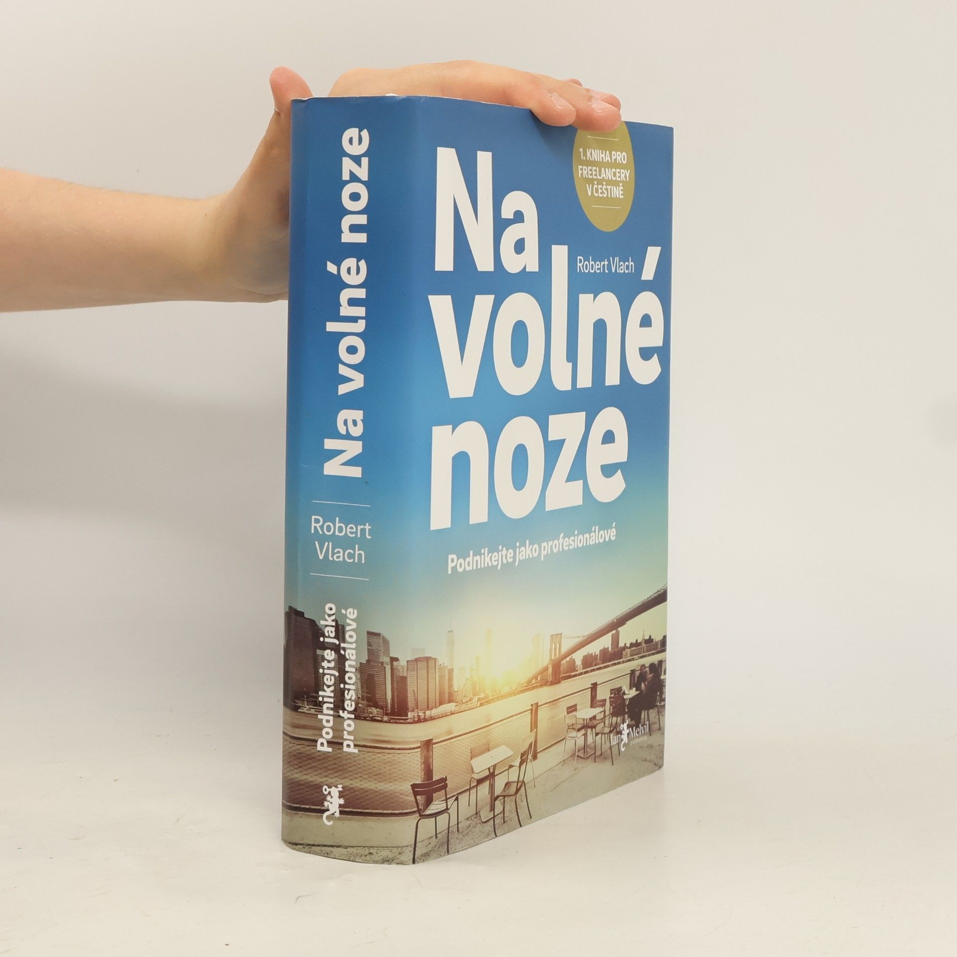 Robert Vlach (podnikatel) Na volné noze