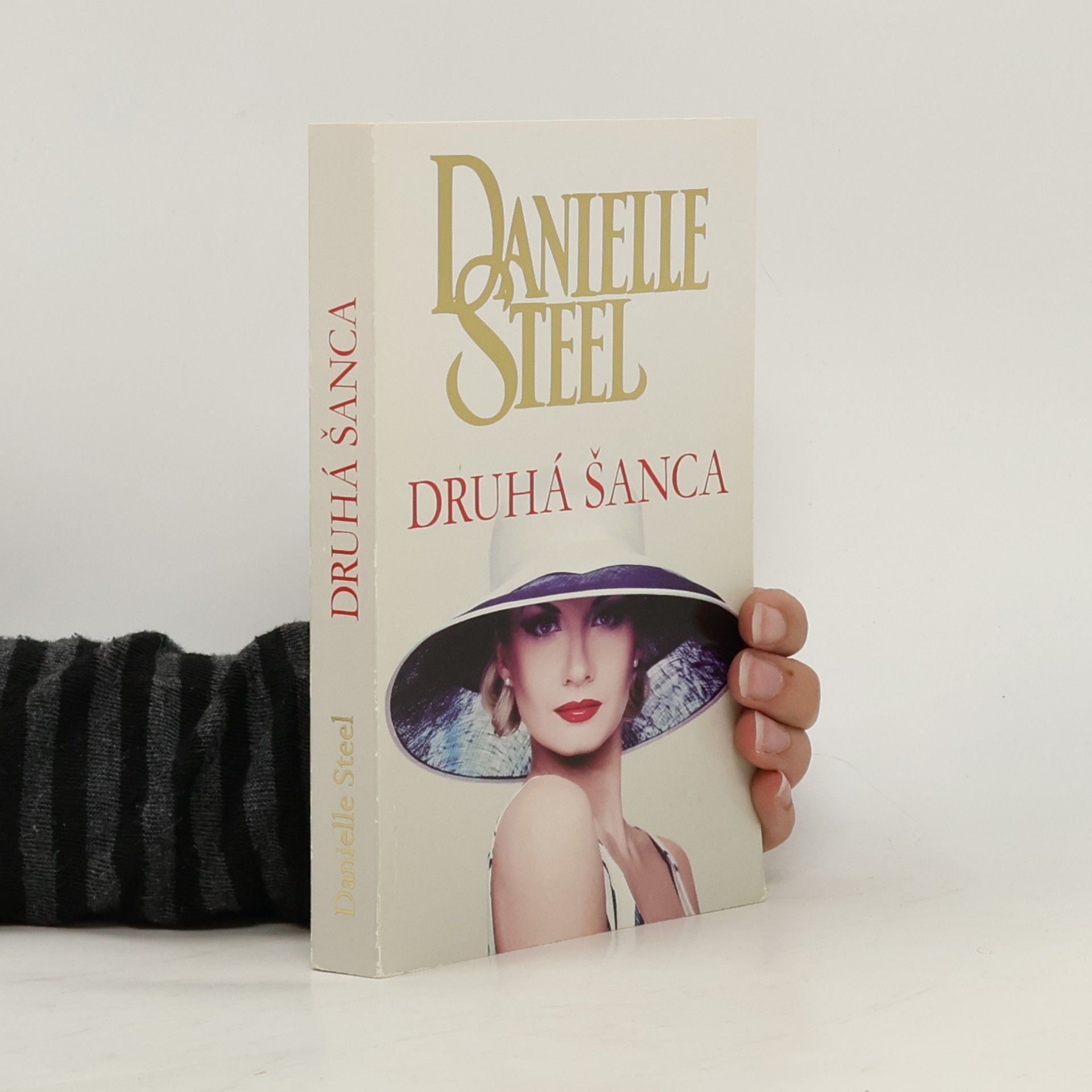 Danielle Steelová Druhá šanca
