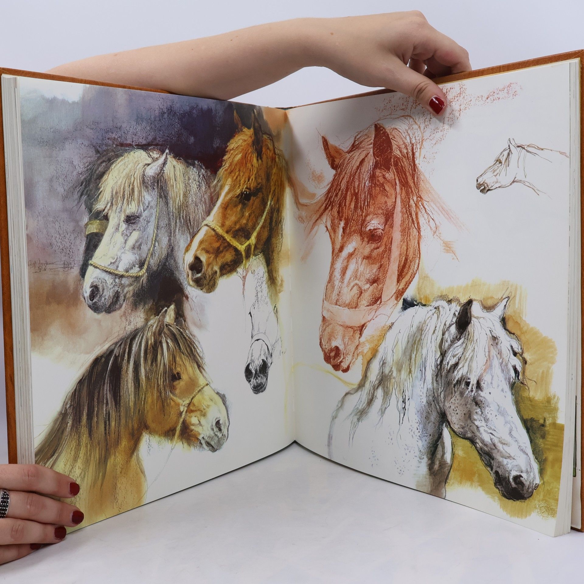 Rien Poortvliet Het brieschend paard