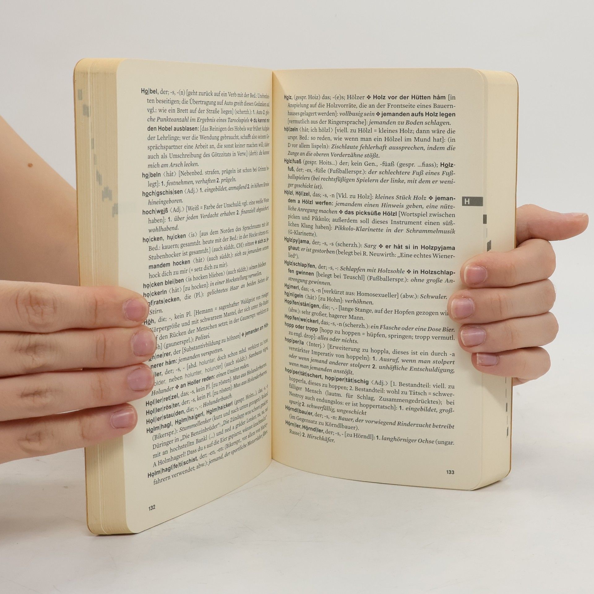 Robert Sedlaczek Wörterbuch des Wienerischen